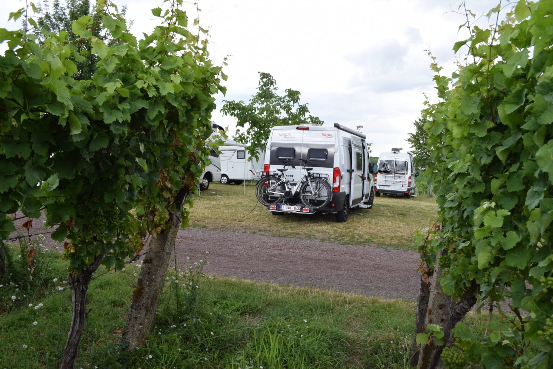Liebfrauenbergweg 3, 76887 Bad Bergzabern, Germany / 15-07-2020 18:02 / 19.12 °C en half bewolkt