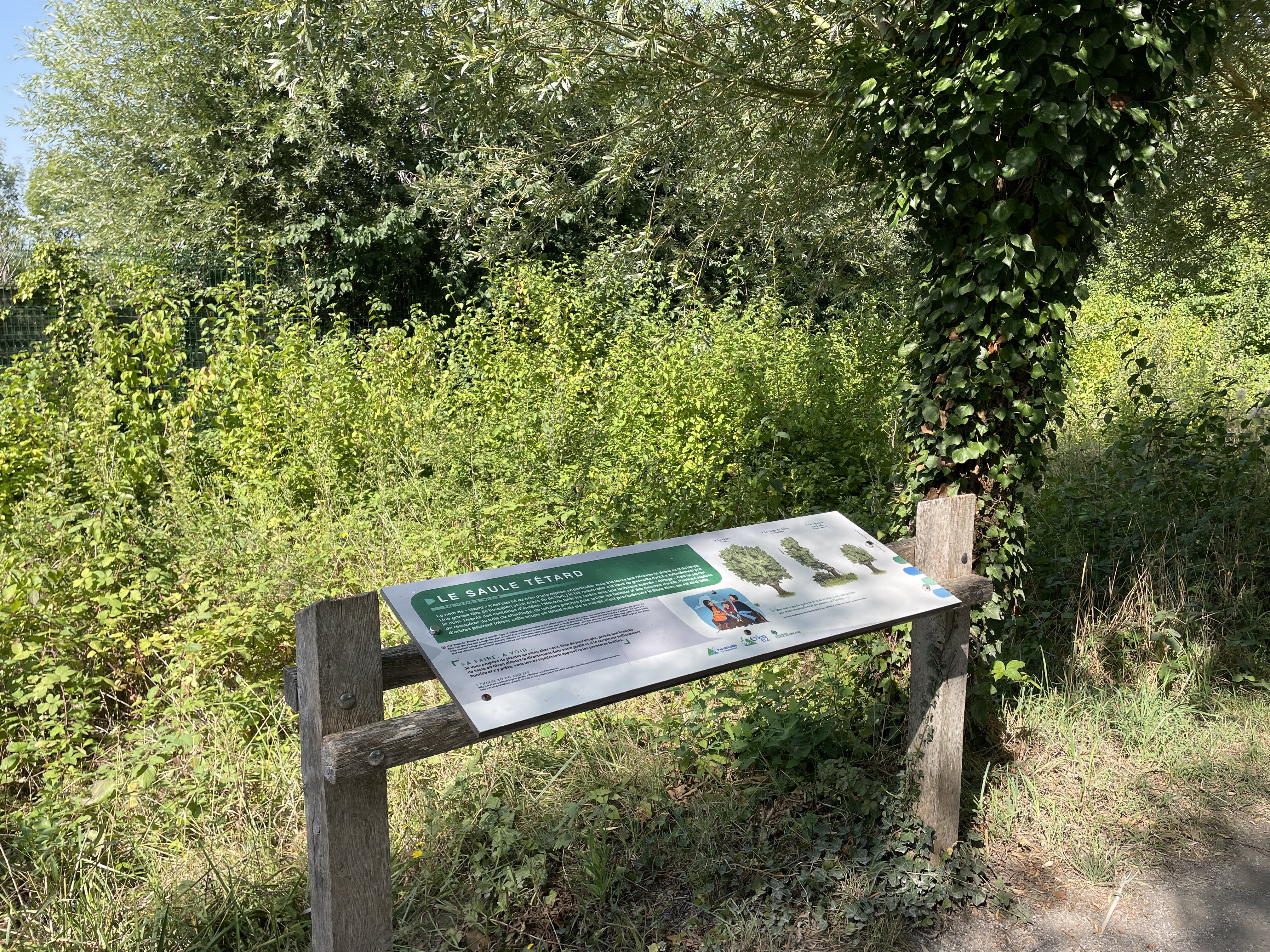 46 Rue du Romelaere, 62500 Clairmarais, France / 12-08-2025 11:36 / 32.23 °C en onbewolkt / 4 m