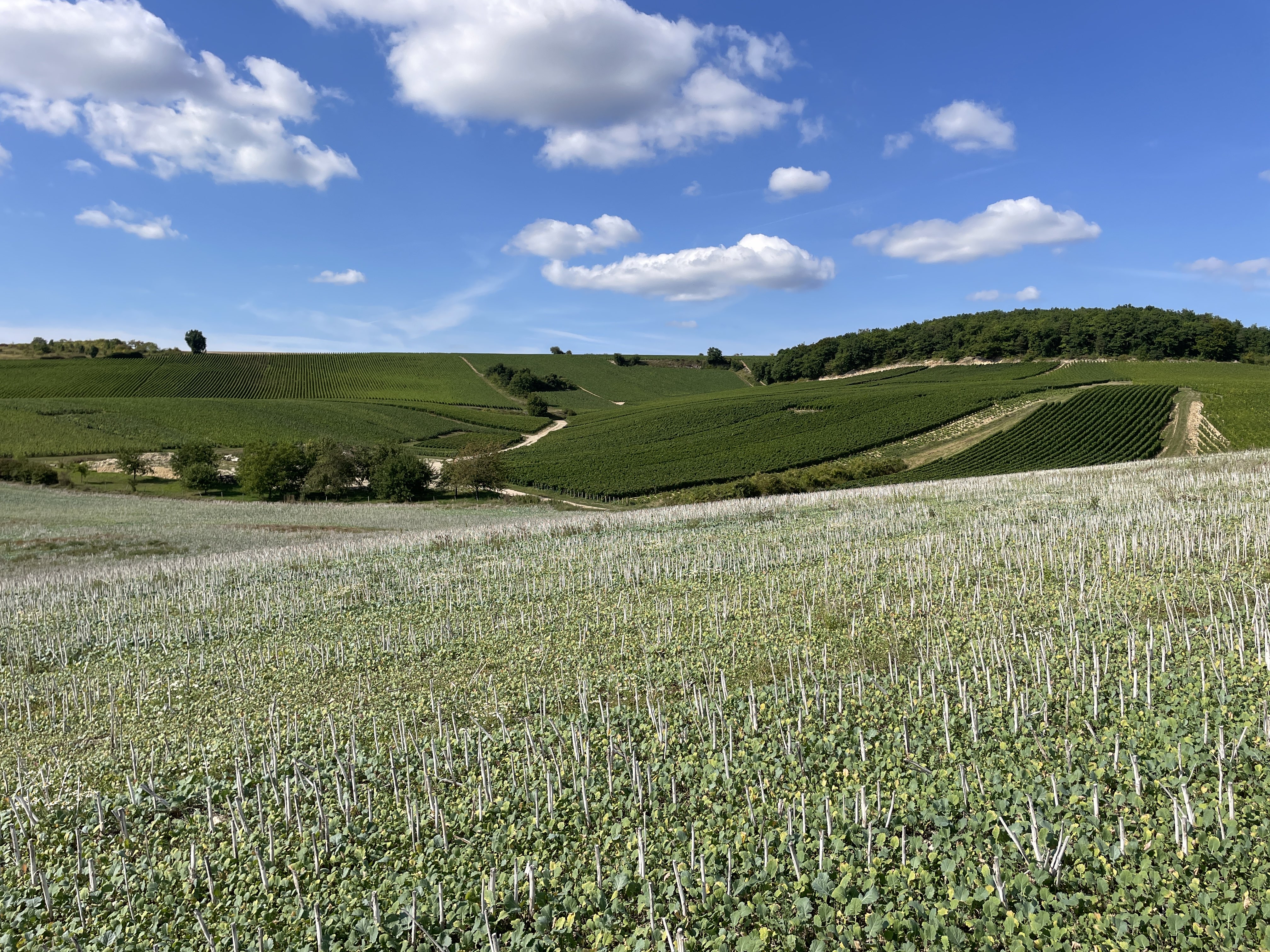 4MVM+R6 Champignol-lez-Mondeville, France / 23-08-2025 16:27 / 20.58 °C en half bewolkt / 291 m