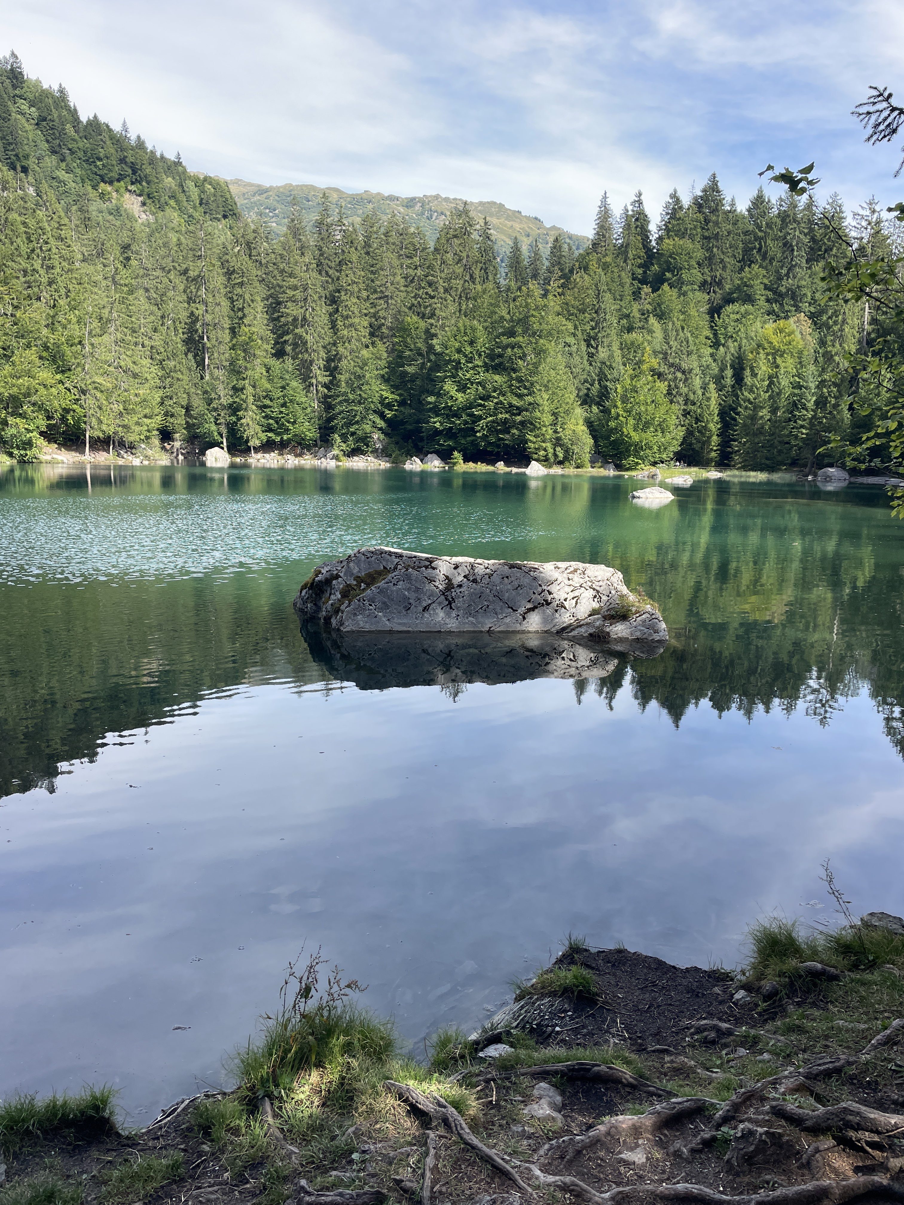 Lac vert, 322 Chem. des Parchets, 74480 Passy, France / 25-08-2025 16:06 / 20.17 °C en half bewolkt / 1273 m