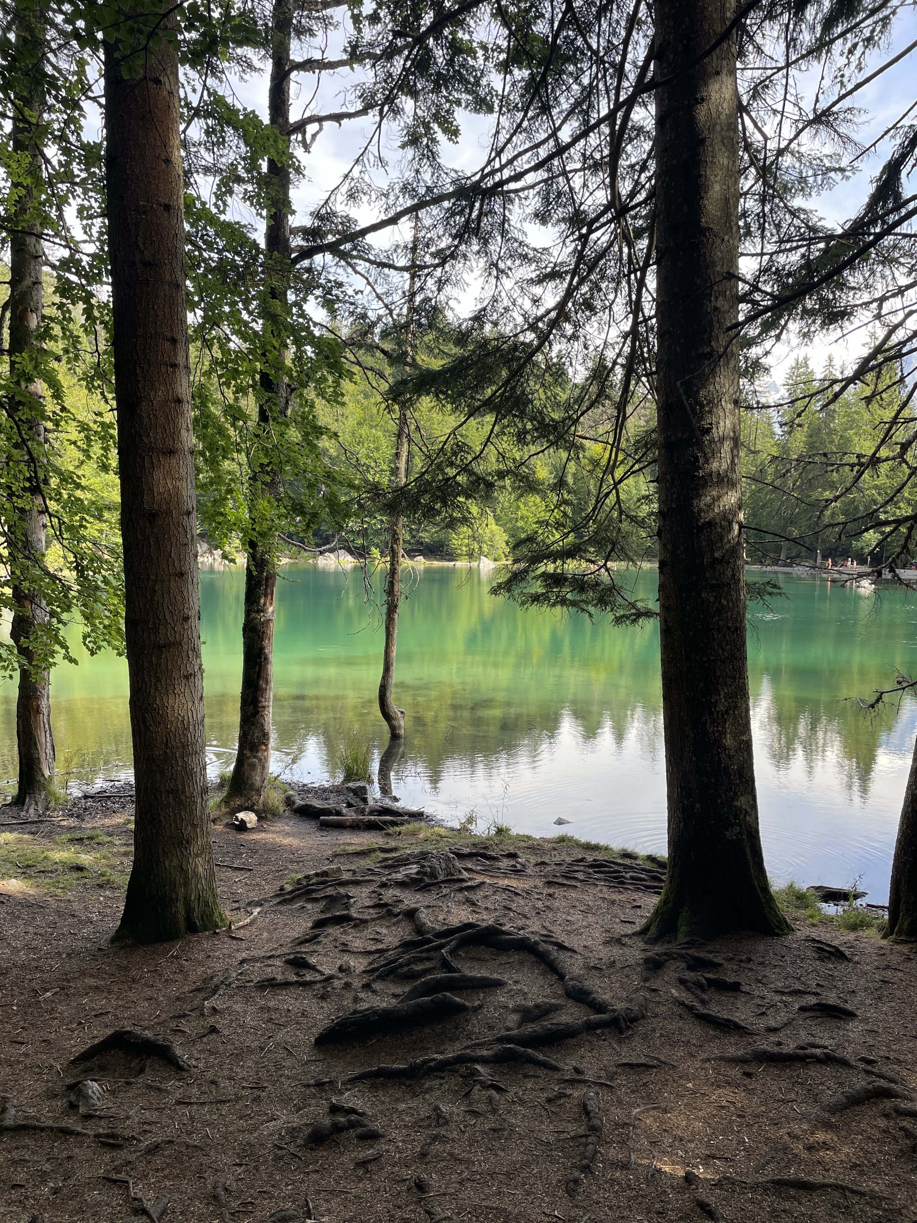Lac vert, 322 Chem. des Parchets, 74480 Passy, France / 25-08-2025 16:09 / 20.17 °C en half bewolkt / 1277 m