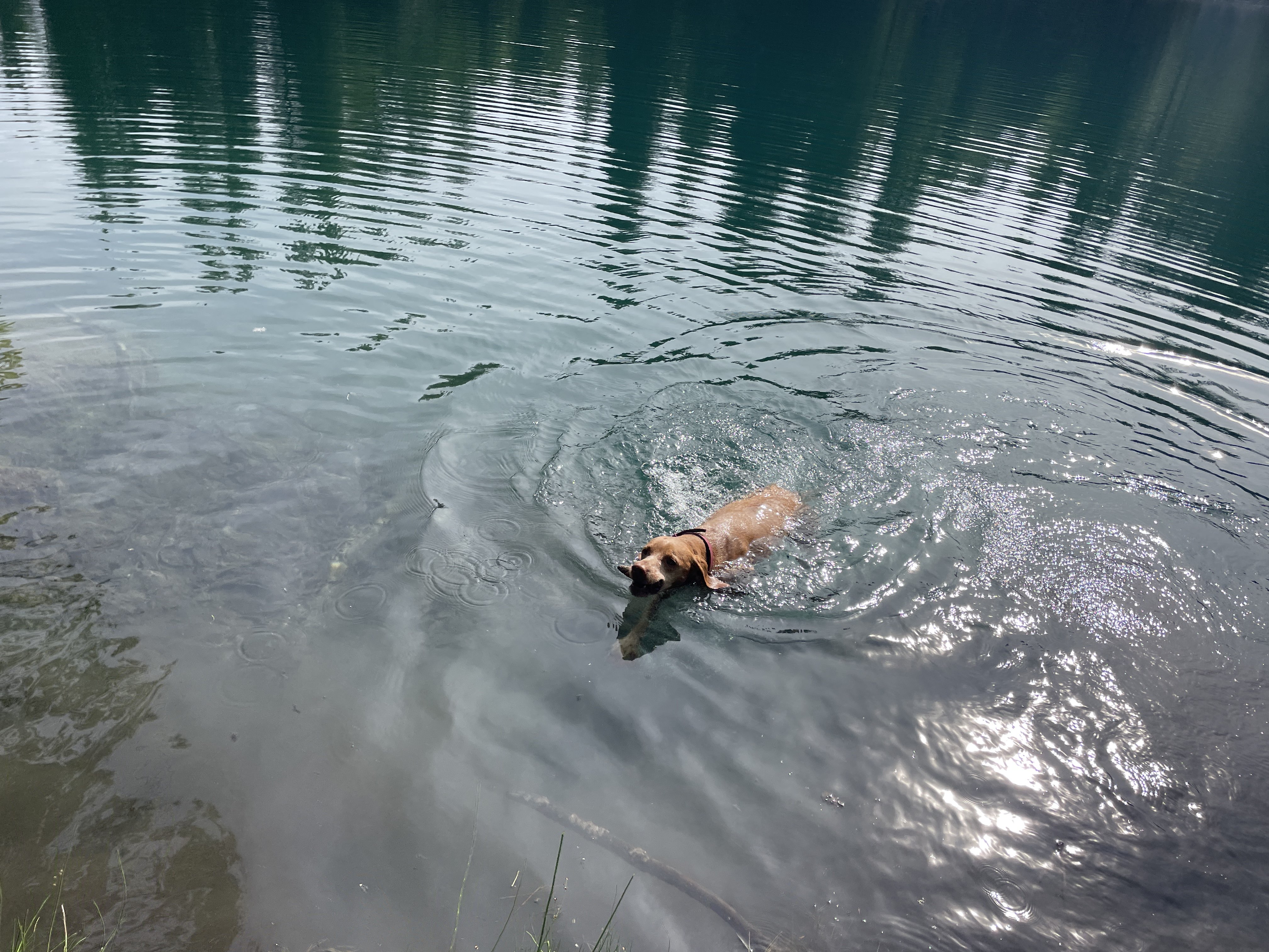 Lac vert, 322 Chem. des Parchets, 74480 Passy, France / 25-08-2025 16:21 / 20.17 °C en half bewolkt / 1272 m