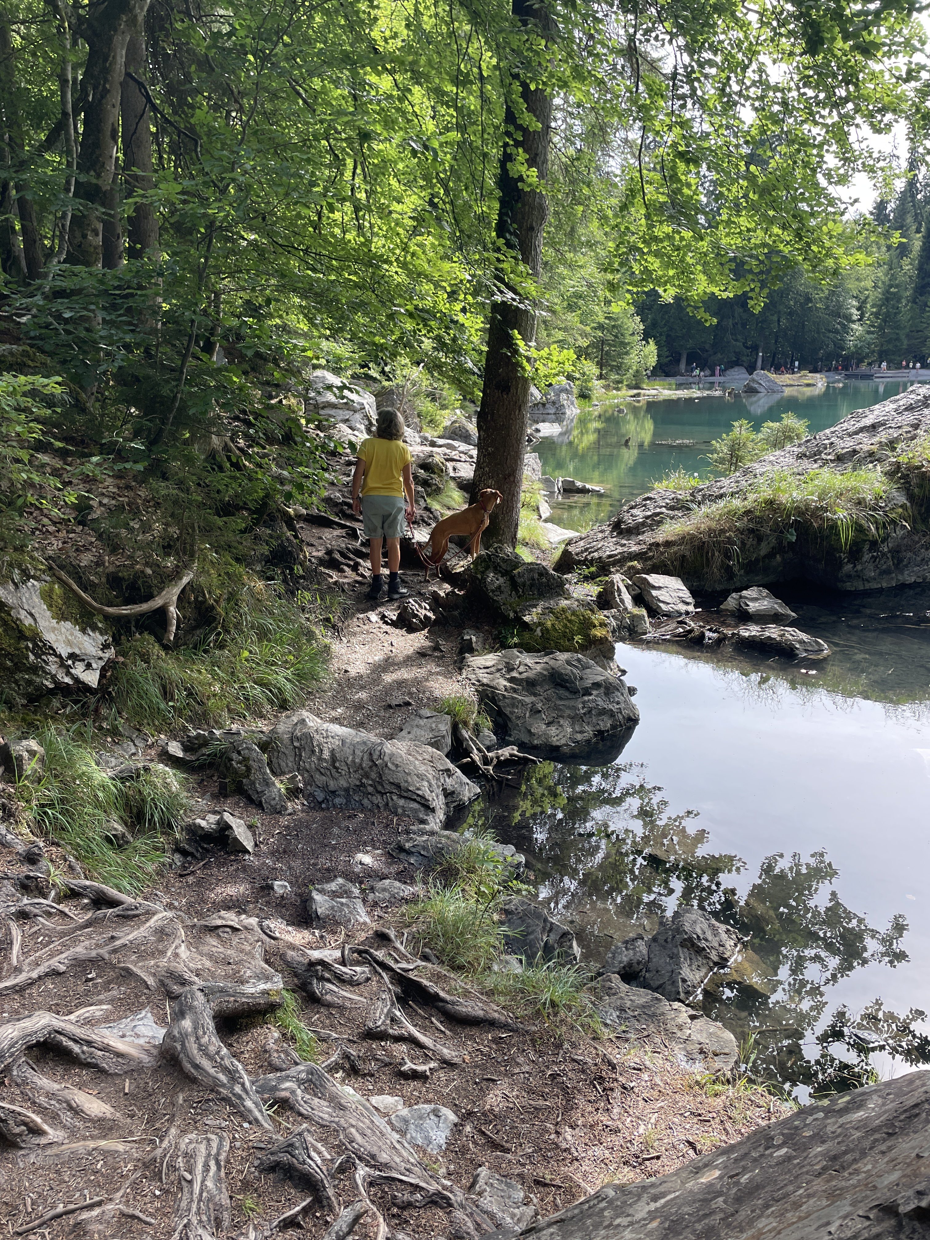 Lac vert, 322 Chem. des Parchets, 74480 Passy, France / 25-08-2025 16:26 / 20.17 °C en half bewolkt / 1278 m