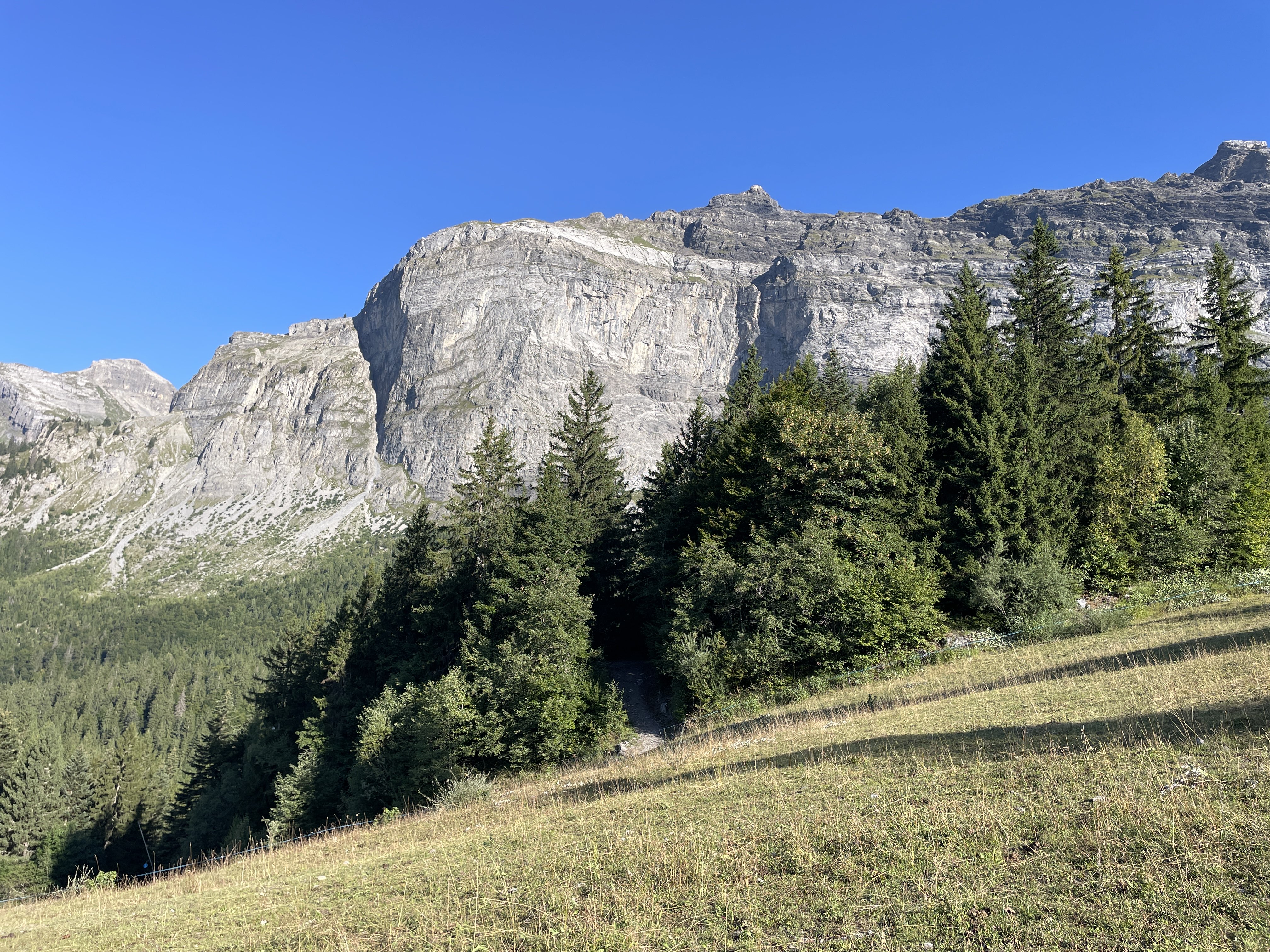 Chem. de Plaine-Joux d'en-Haut À Barmus, 74480 Passy, France / 26-08-2025 09:08 / 20.23 °C en onbewolkt / 1404 m