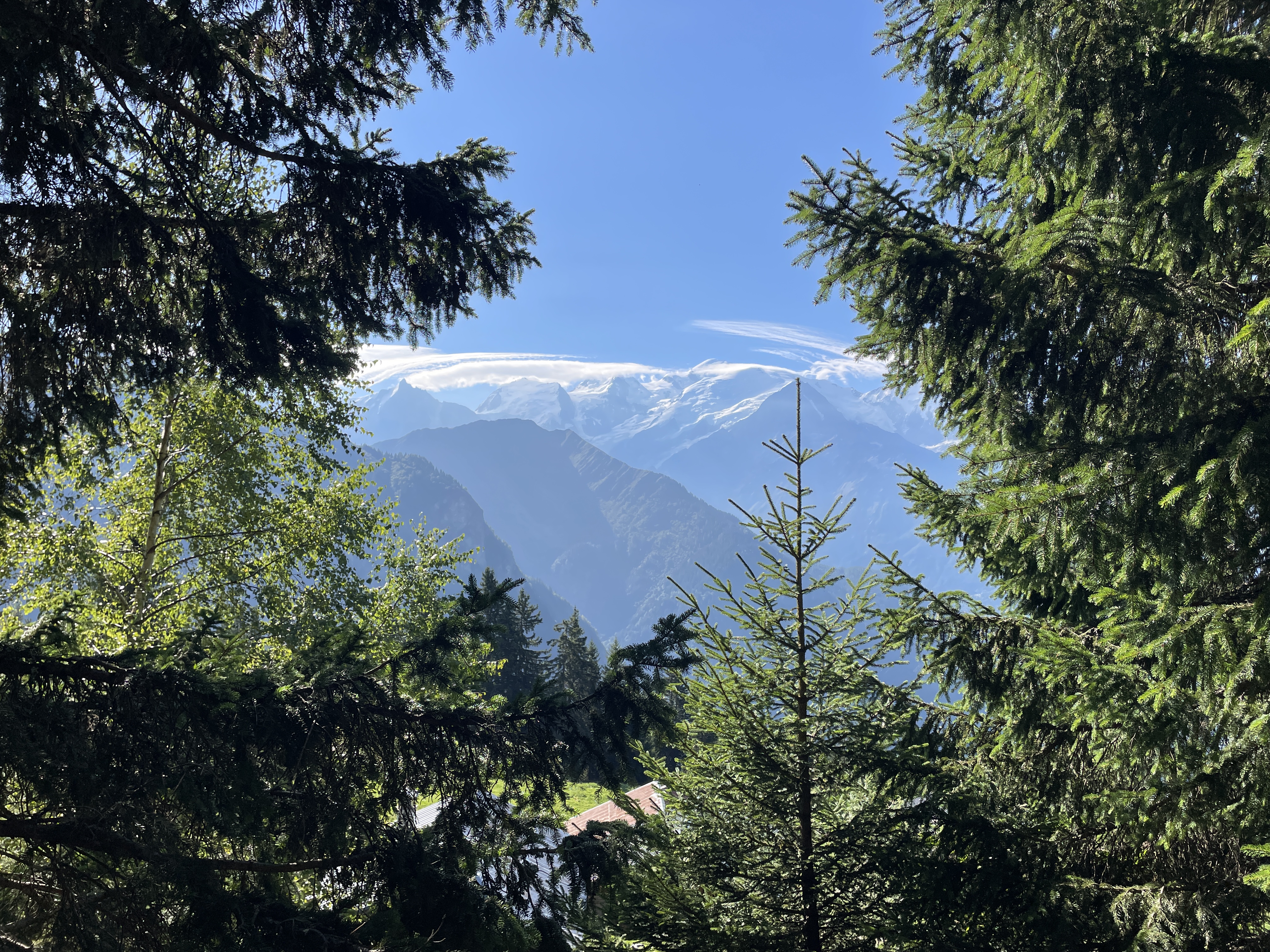 Plaine Joux