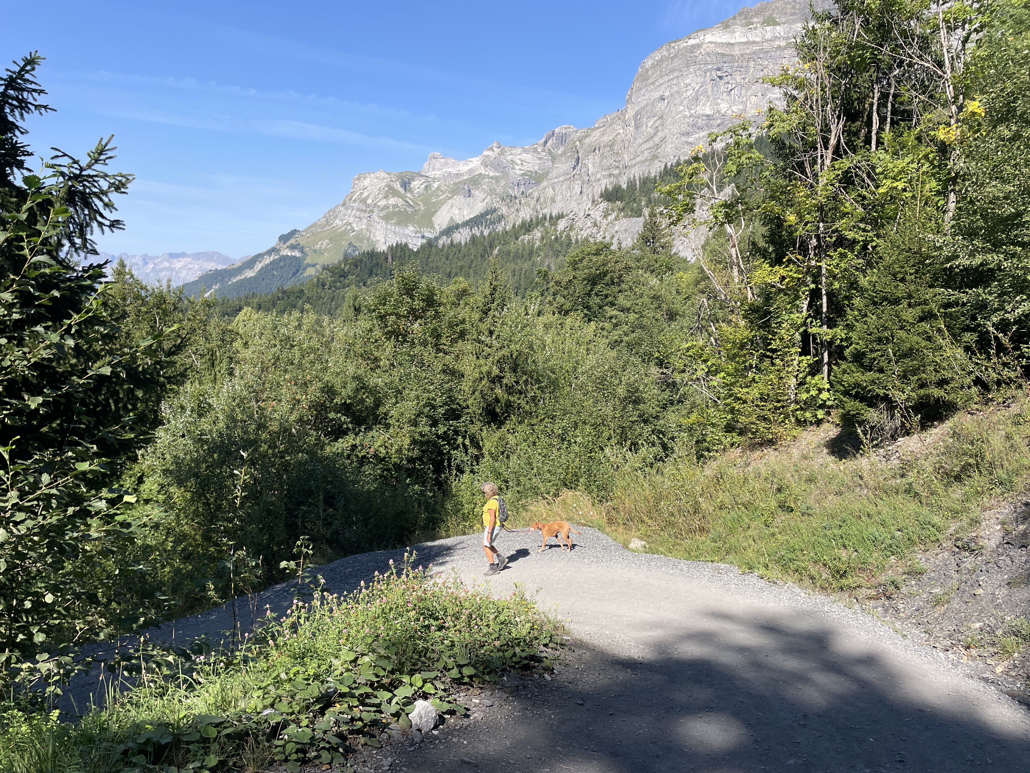 CR de Plaine Joux au Châtelet, 74480 Passy, France / 26-08-2025 10:59 / 21.77 °C en onbewolkt / 1350 m