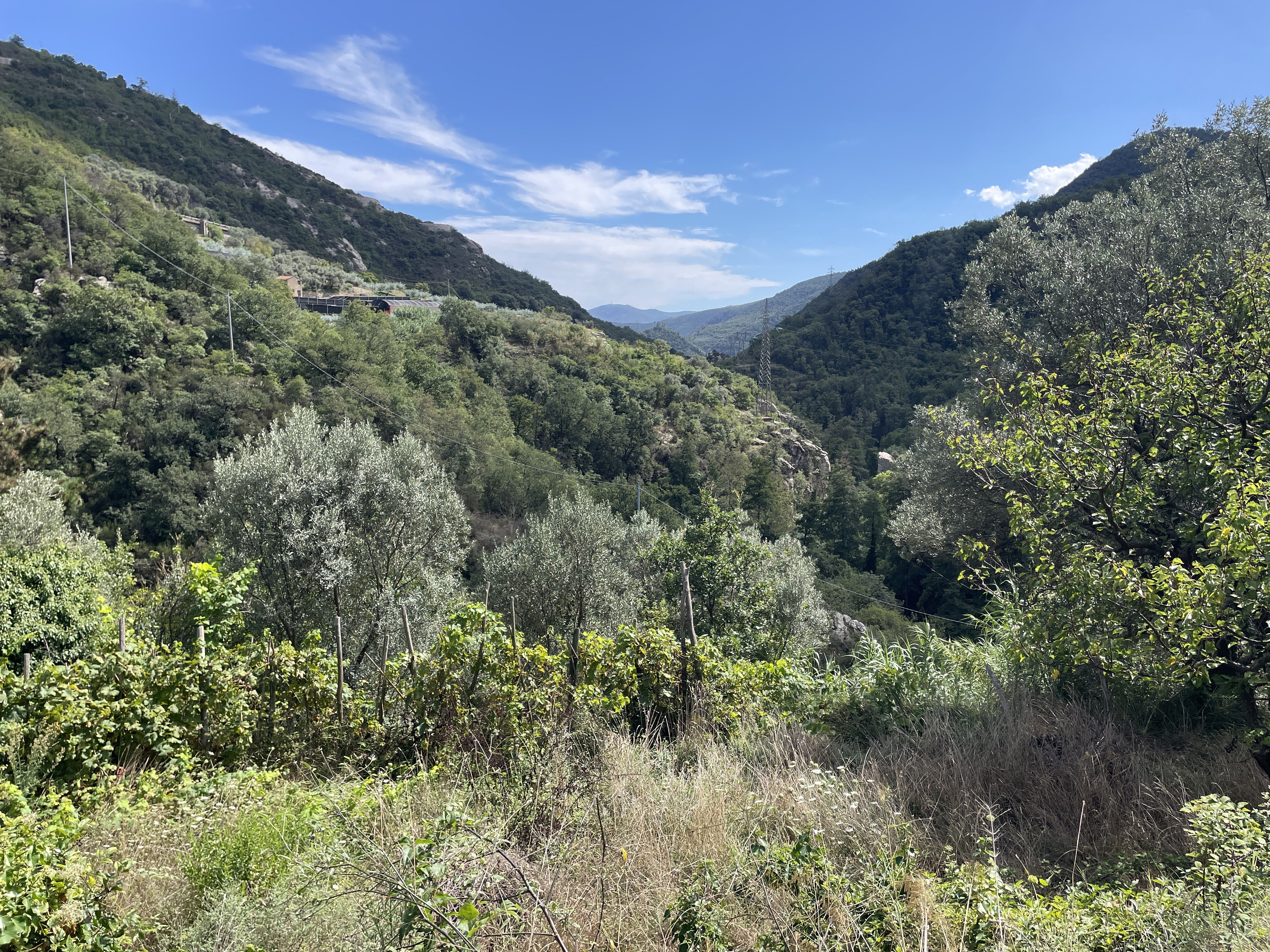Via Bassi, 24, 17030 Erli SV, Italy / 29-08-2025 14:40 / 27.41 °C en onbewolkt / 239 m
