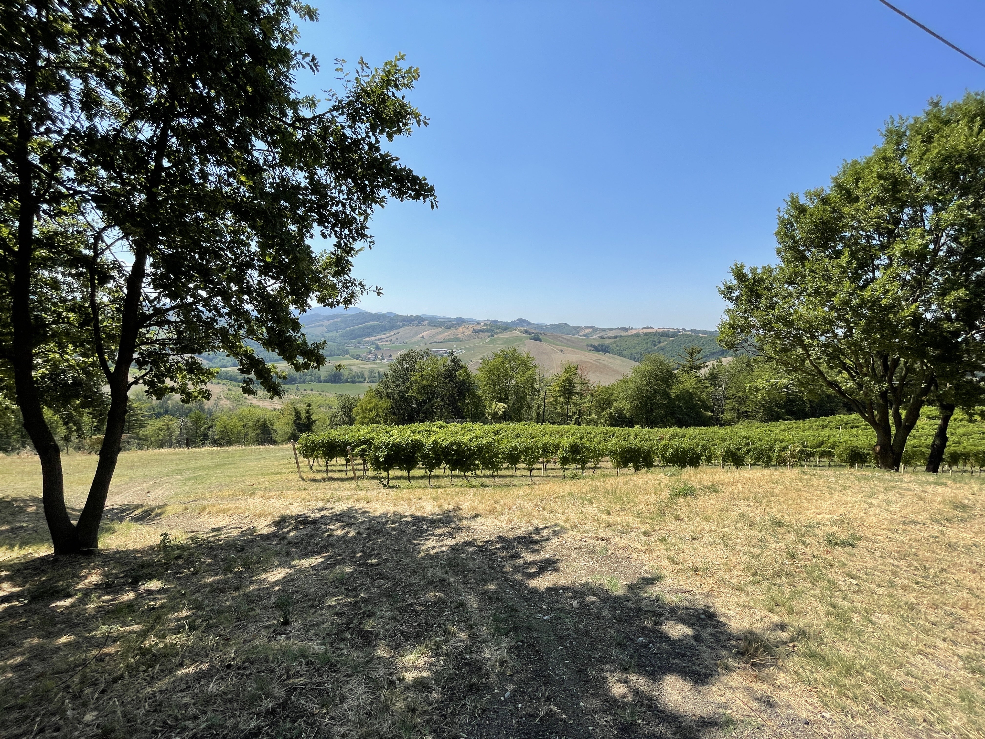 Via Costa Canali, 43015 Noceto PR, Italy / 11-08-2021 15:30 / 32.53 °C en zeer lichte bewolking