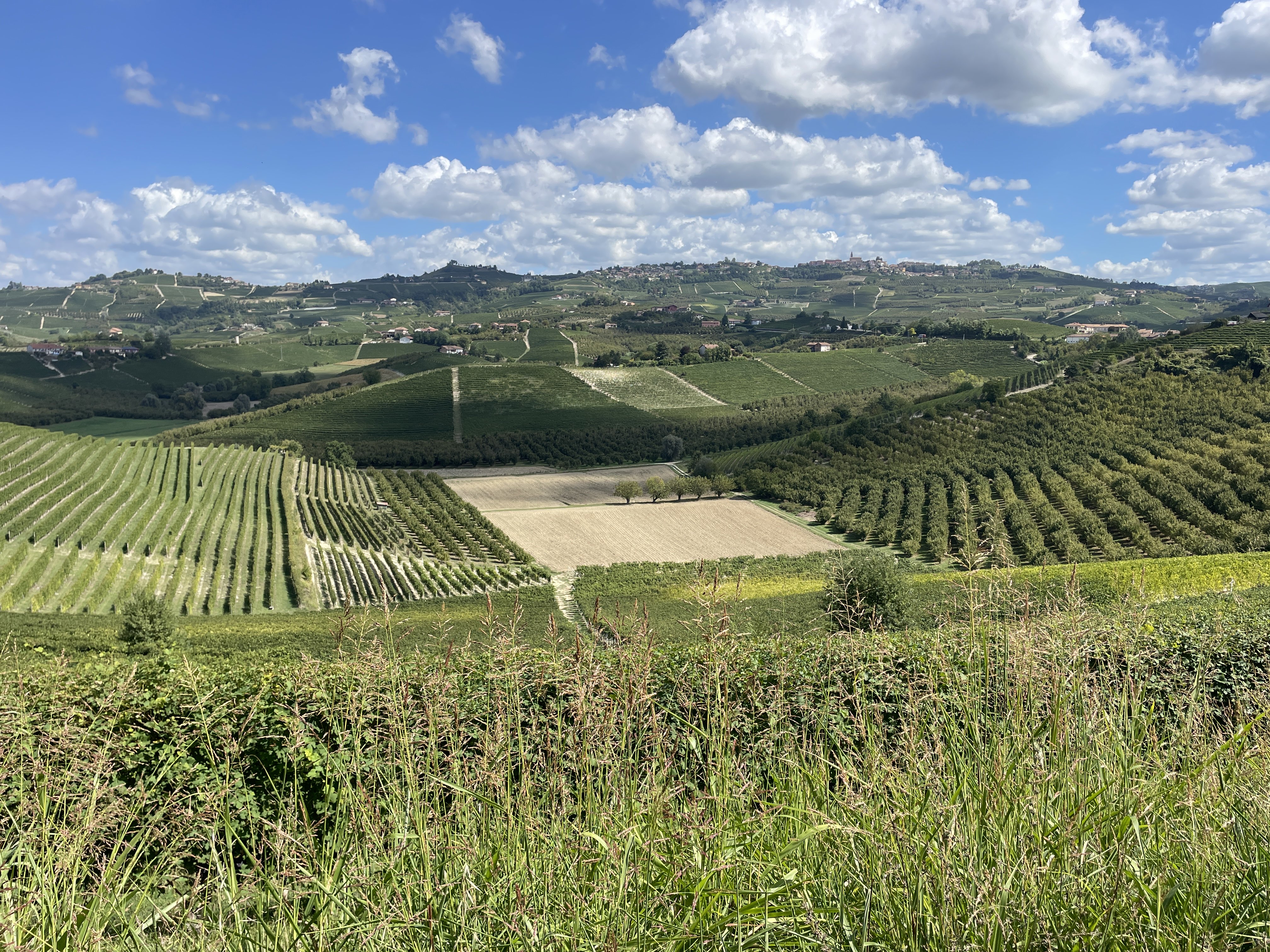 Via Bricco, 17, 12060 Grinzane Cavour CN, Italy / 03-09-2025 13:55 / 26.5 °C en onbewolkt / 263 m