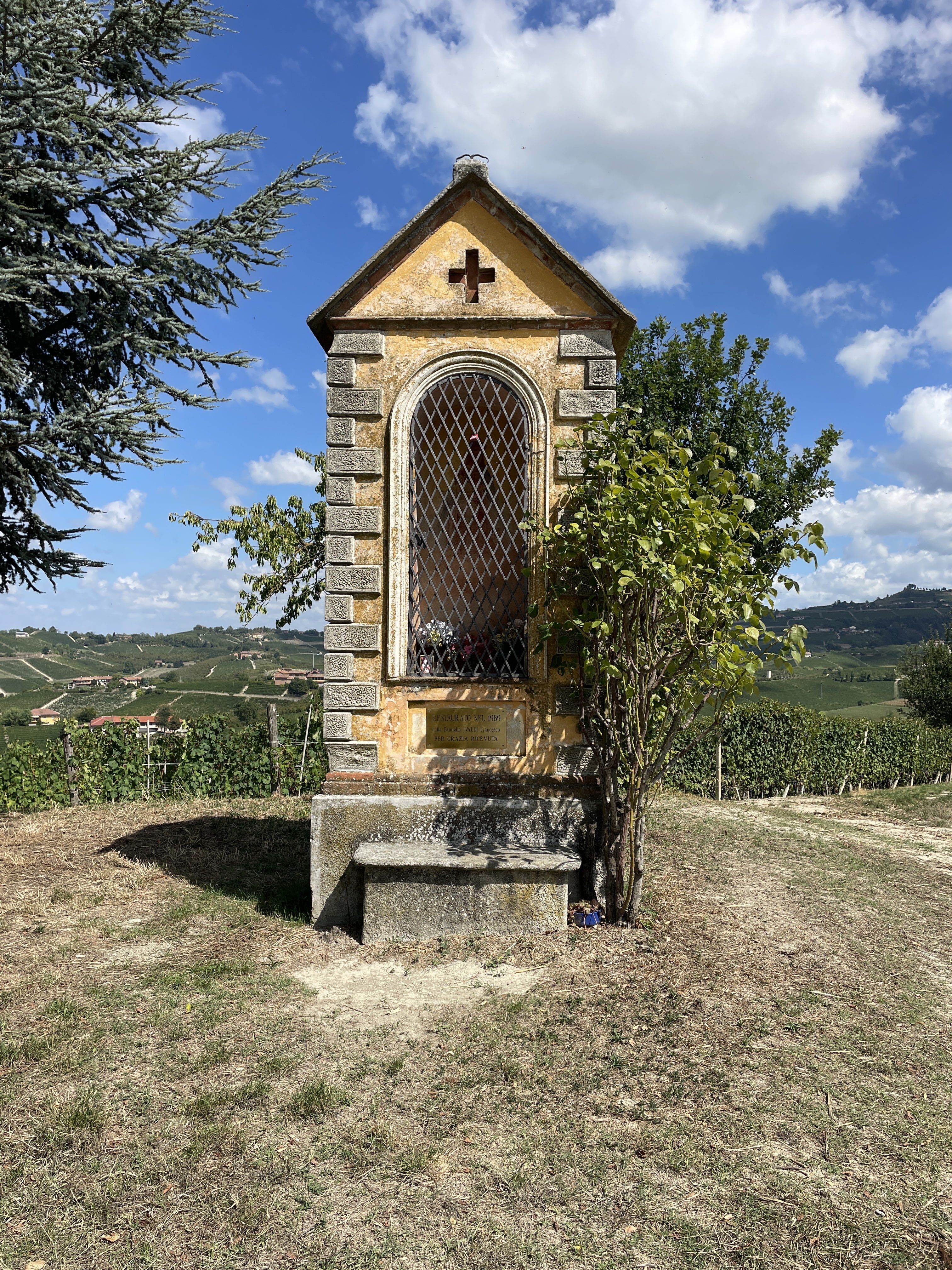 Via Bricco, 23 TER, 12060 Grinzane Cavour CN, Italy / 03-09-2025 14:01 / 26.76 °C en onbewolkt / 270 m