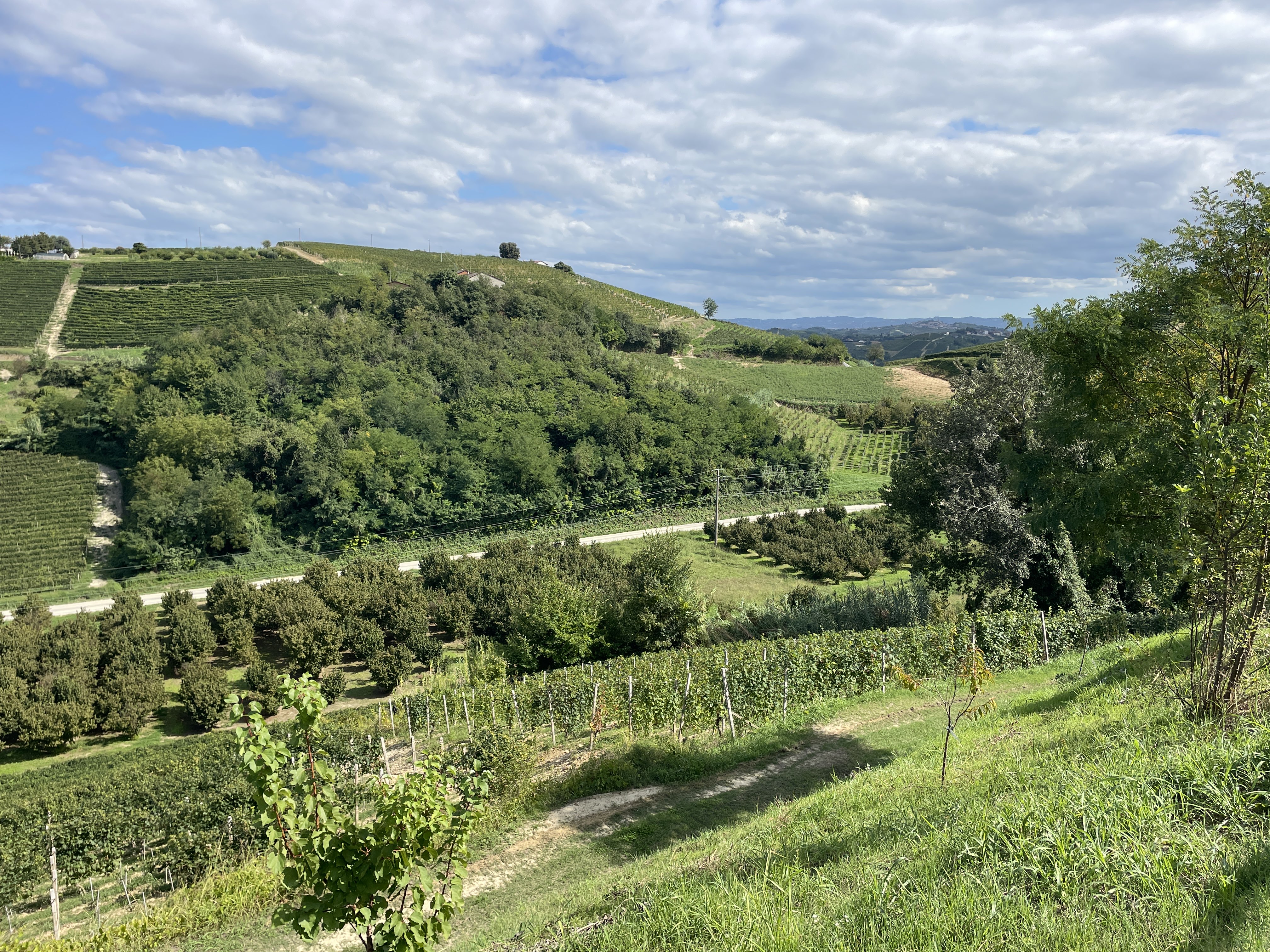 Valle Pozzo, 63, 12043 Canale CN, Italy / 04-09-2025 15:07 / 26.82 °C en half bewolkt / 272 m