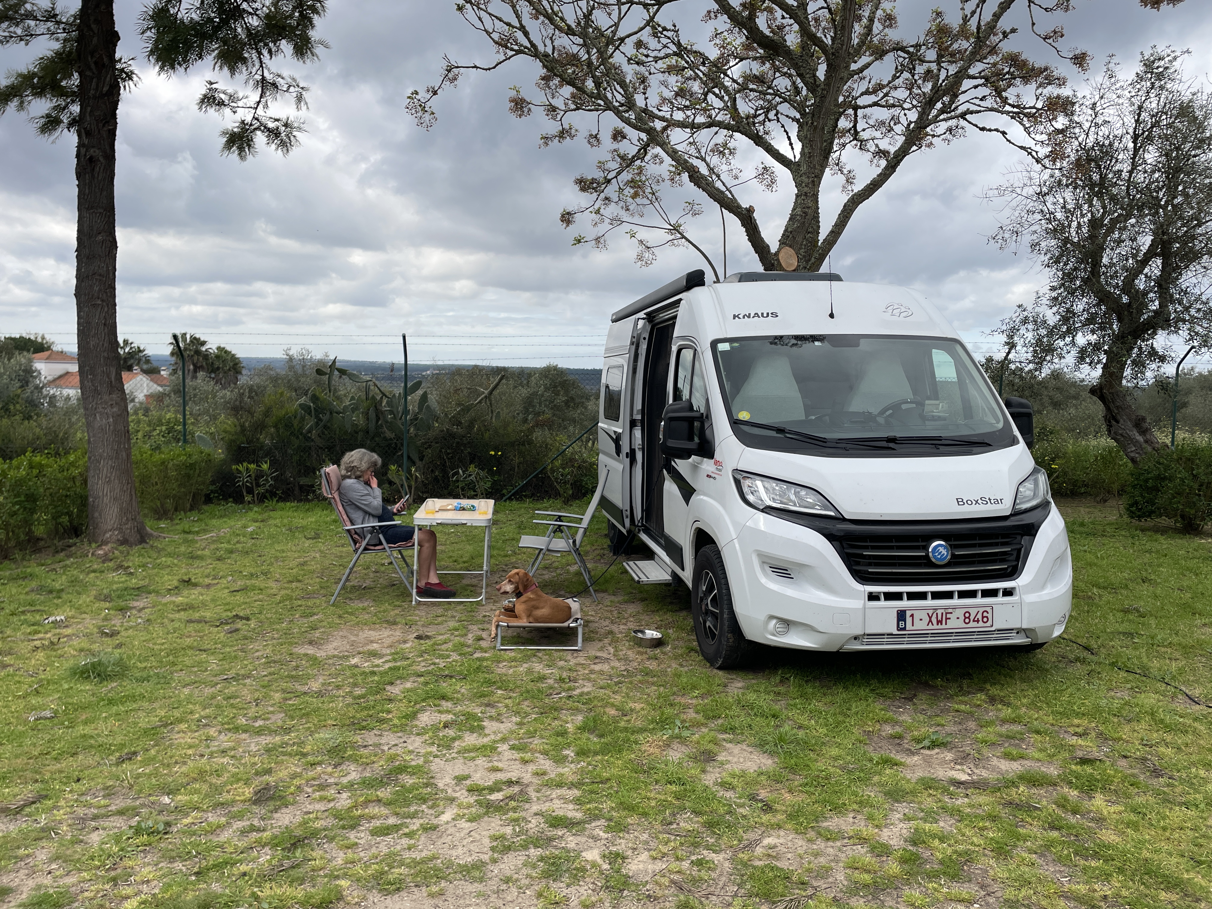 9FJM+26 Alcácer do Sal, Portugal / 15-03-2024 12:35 / 16.2 °C en bewolkt