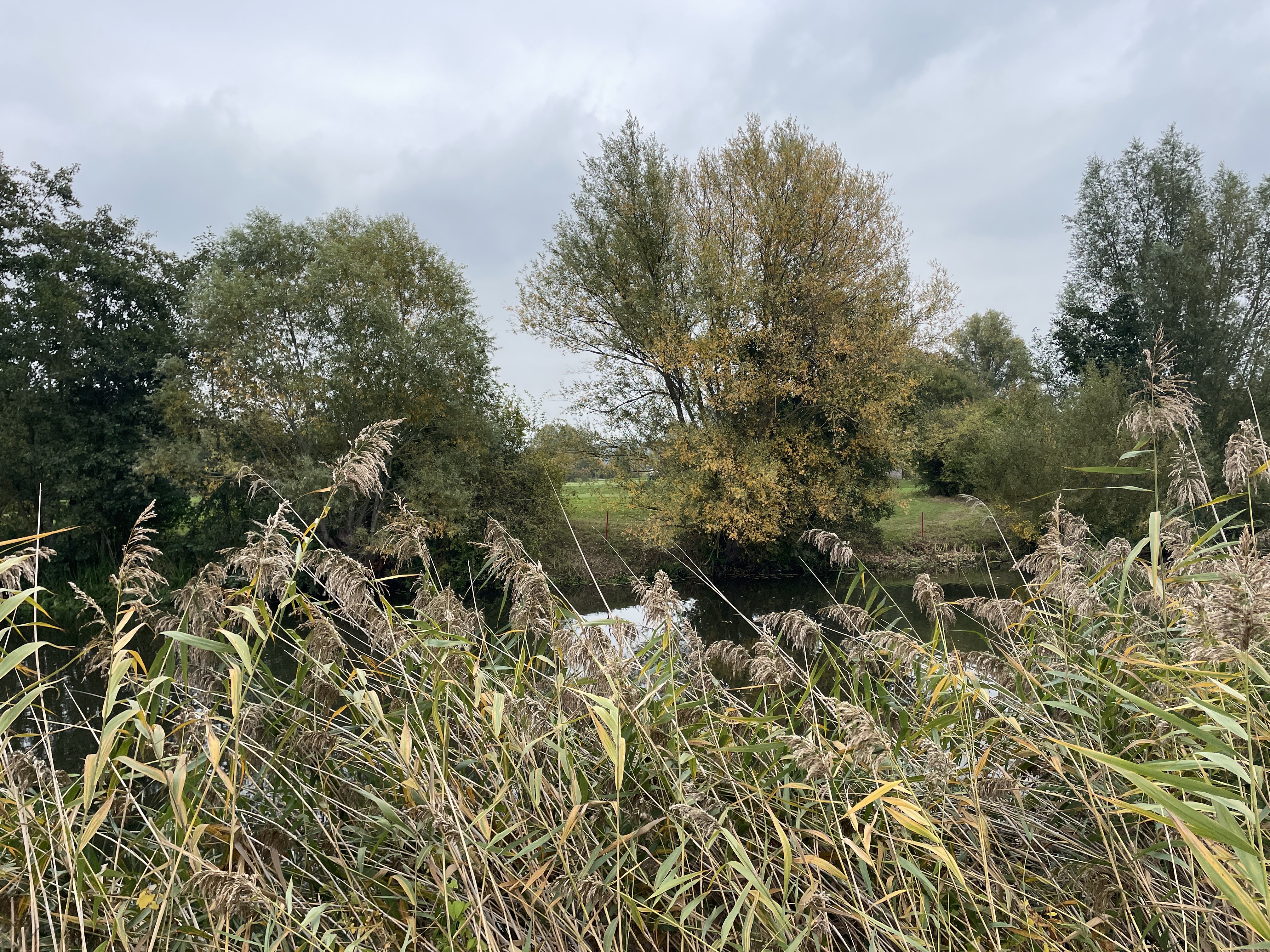 RG8V+CP Wortegem-Petegem, Belgium / 11-10-2025 15:25 / 15.92 °C en half bewolkt / 10 m