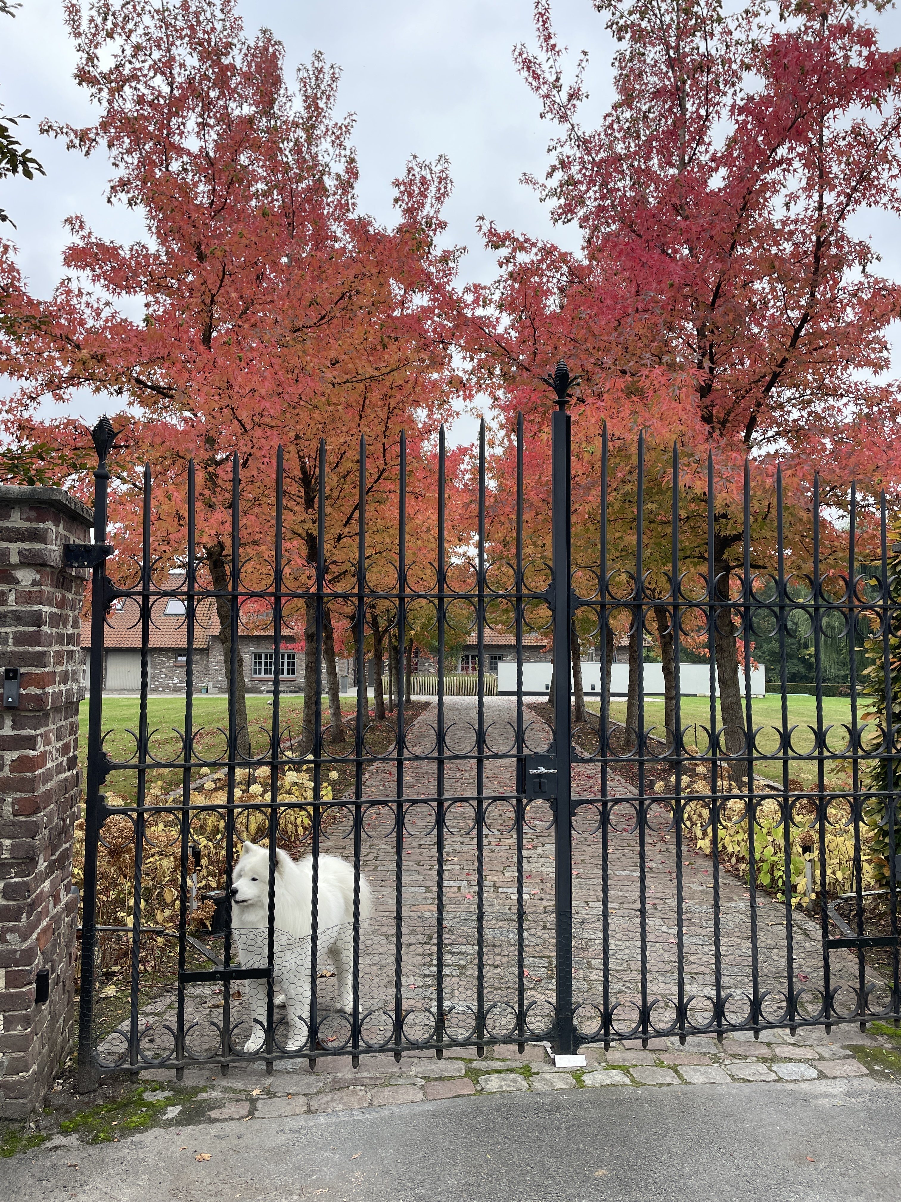 Scheldestraat 5, 9790 Wortegem-Petegem, Belgium / 11-10-2025 15:46 / 15.83 °C en half bewolkt / 10 m