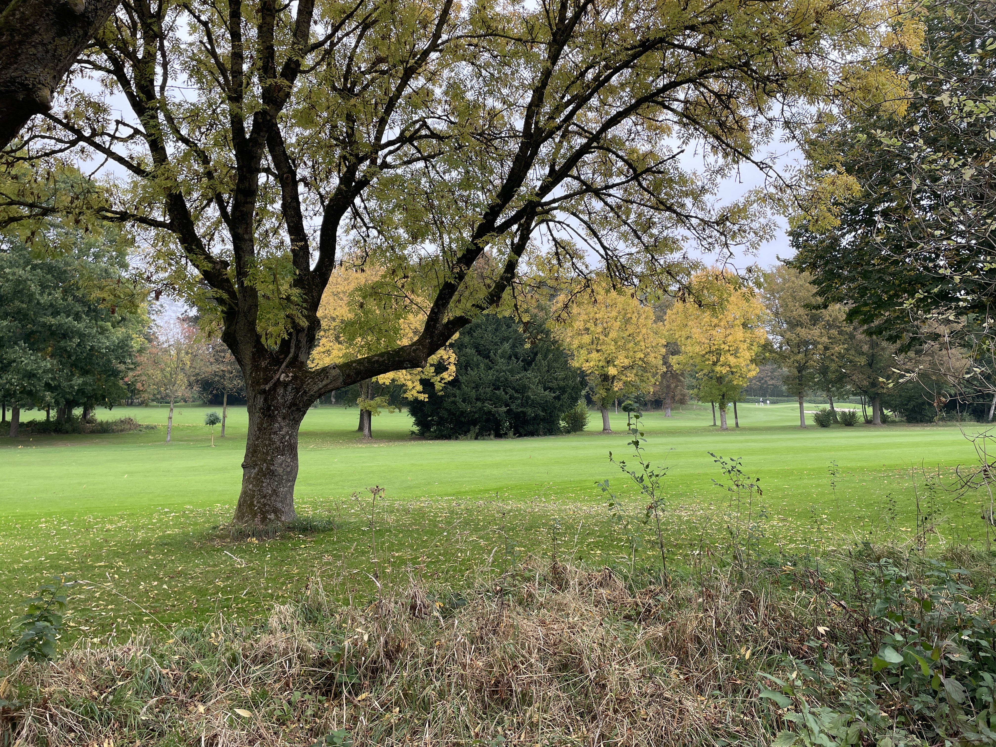 RHF4+46 Wortegem-Petegem, Belgium / 11-10-2025 15:58 / 15.87 °C en half bewolkt / 9 m