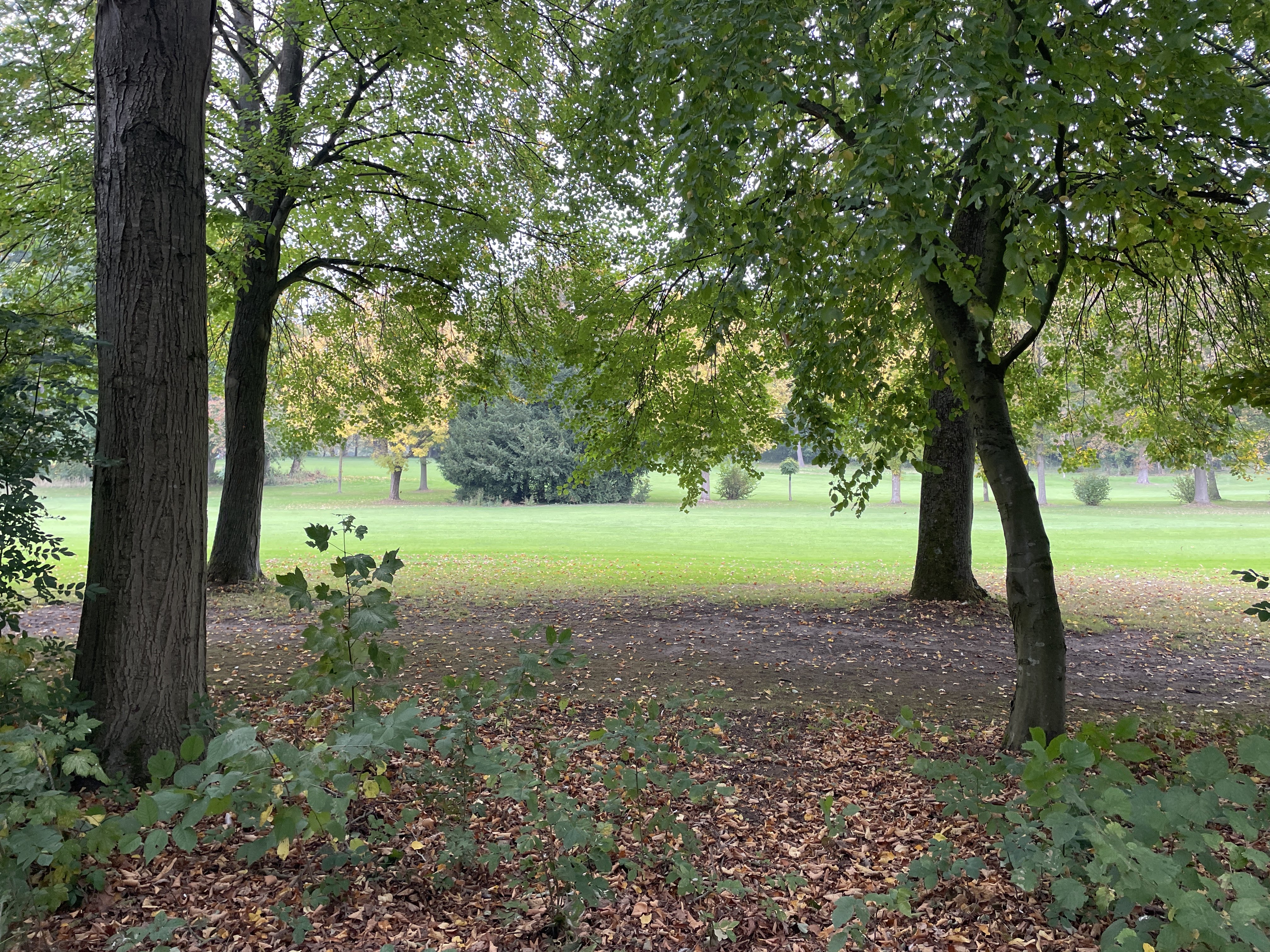 RHF4+2C Wortegem-Petegem, Belgium / 11-10-2025 15:59 / 15.87 °C en half bewolkt / 8 m