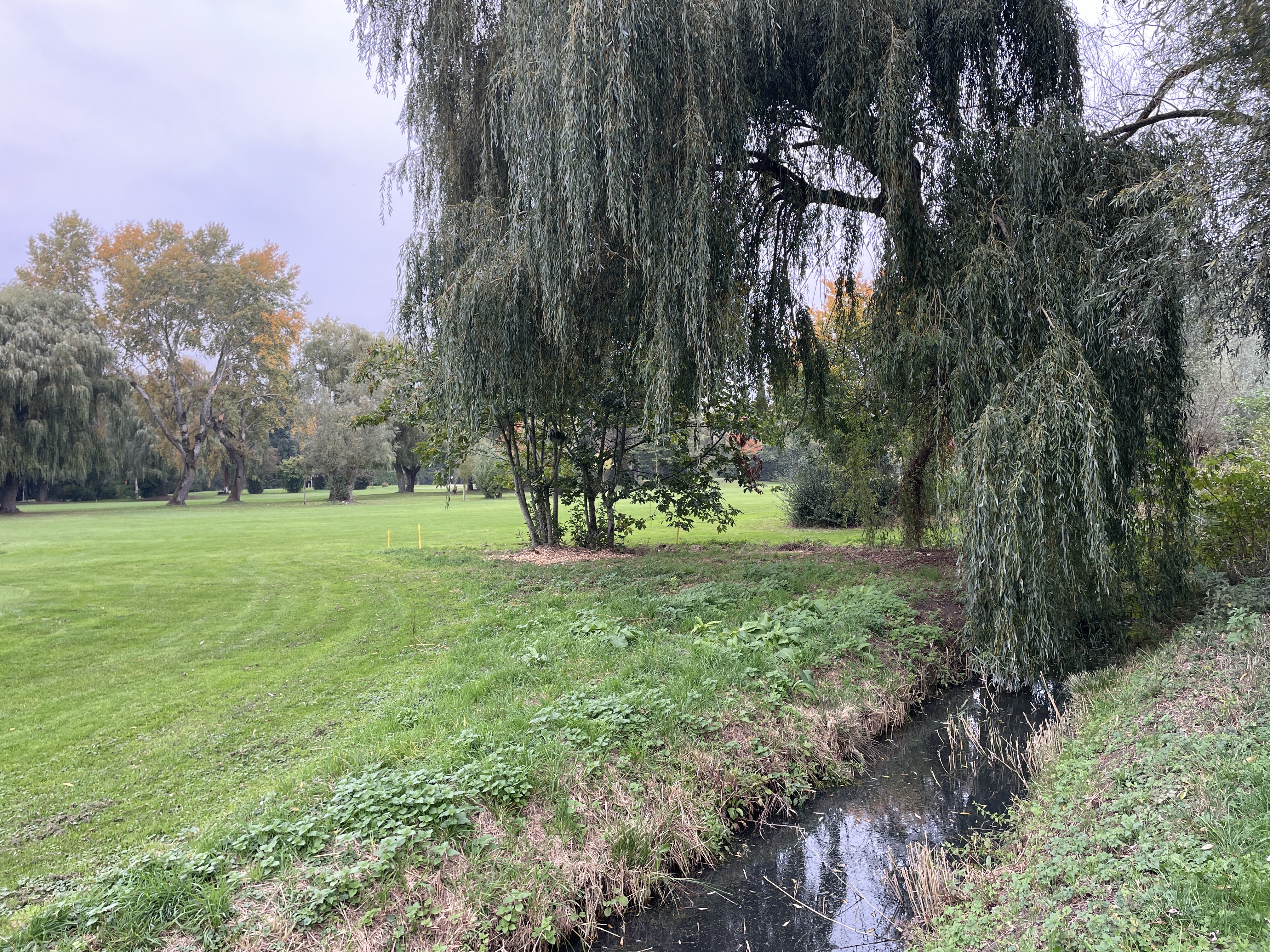 RH93+Q6 Wortegem-Petegem, Belgium / 11-10-2025 16:53 / 15.09 °C en half bewolkt / 13 m