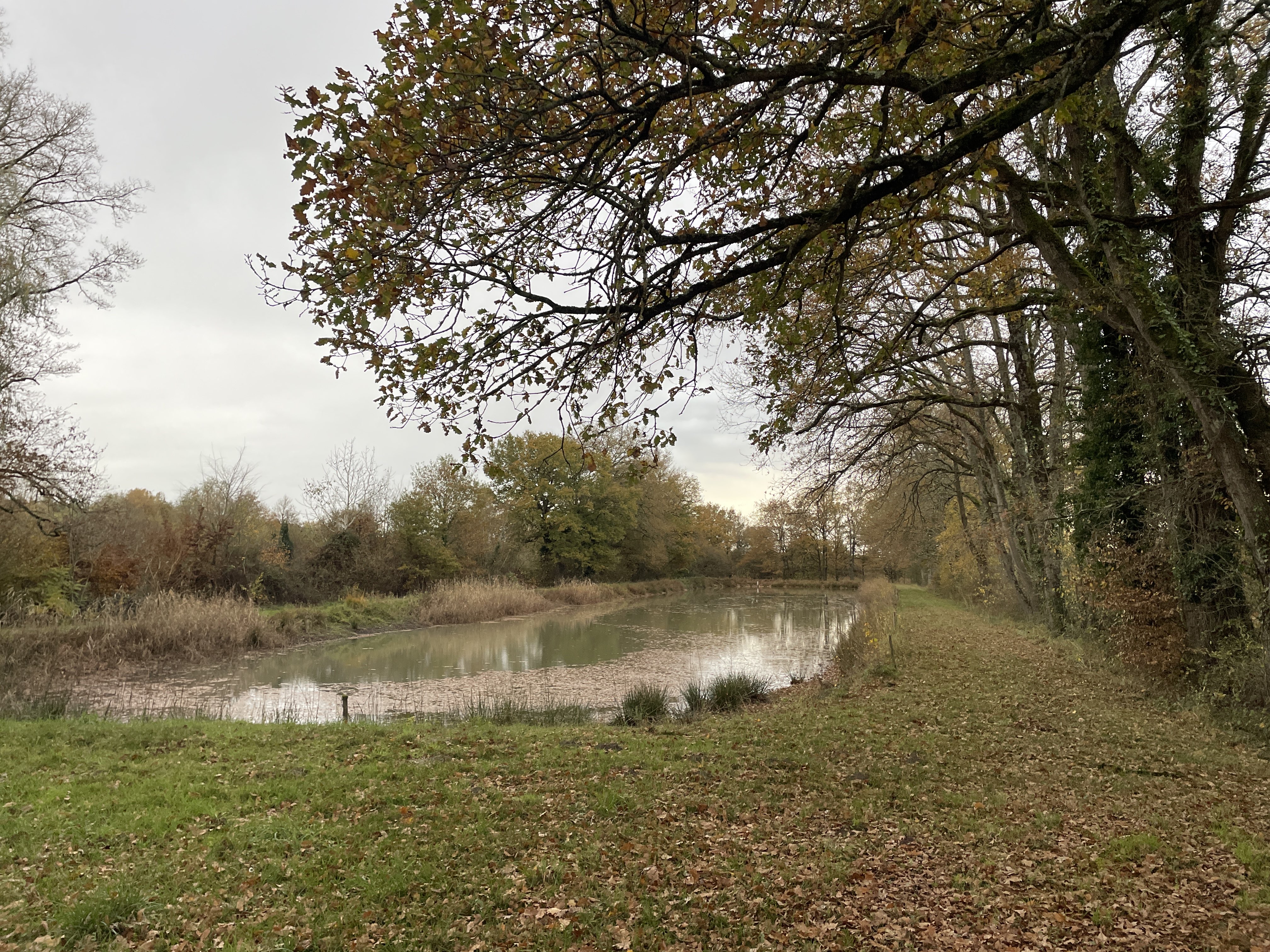 PHHH+2V Luant, France / 14-11-2025 16:28 / 15.03 °C en zware regenval / 153 m