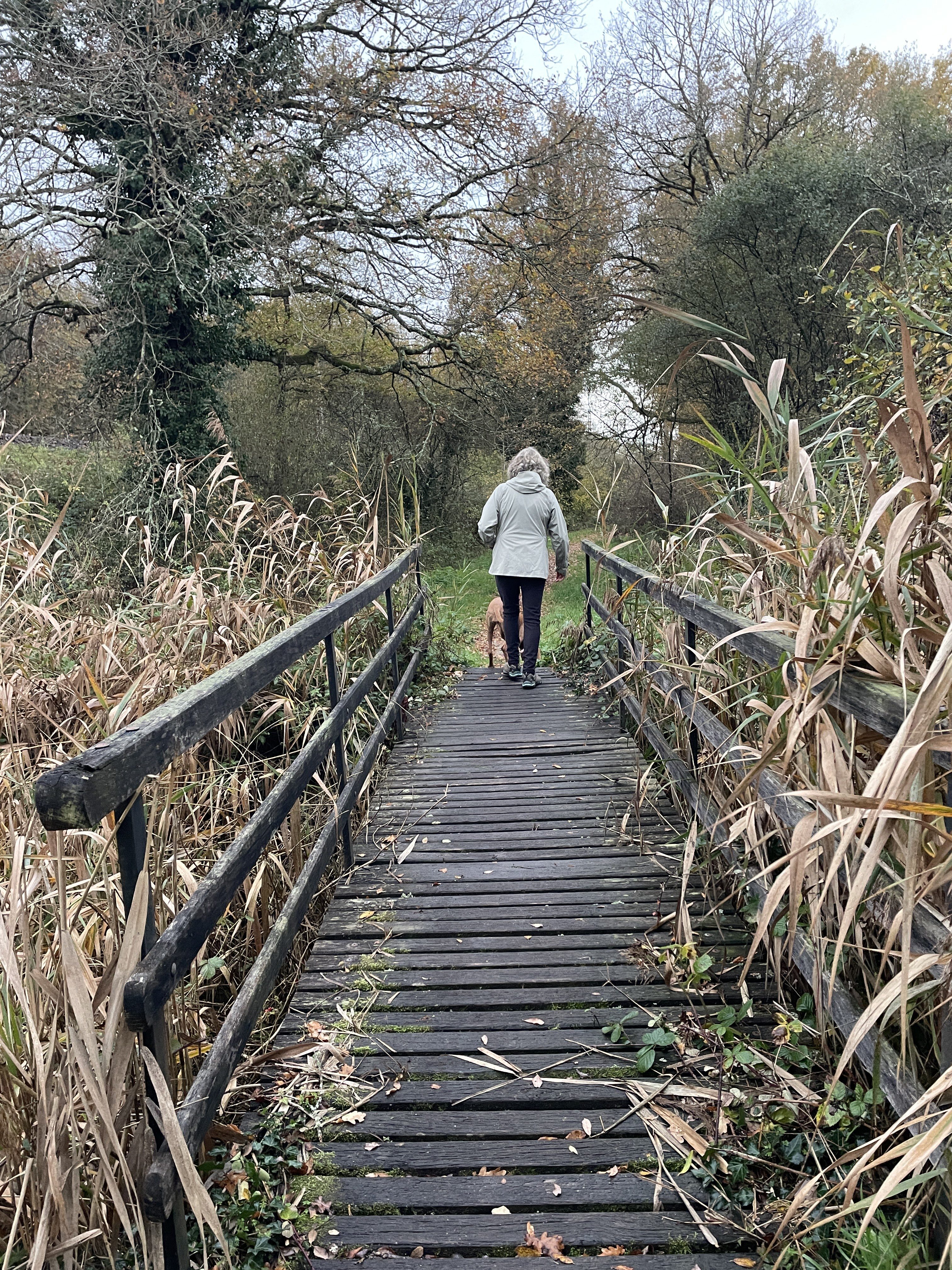 PHGM+VX Luant, France / 14-11-2025 16:35 / 15.04 °C en lichte regen / 150 m
