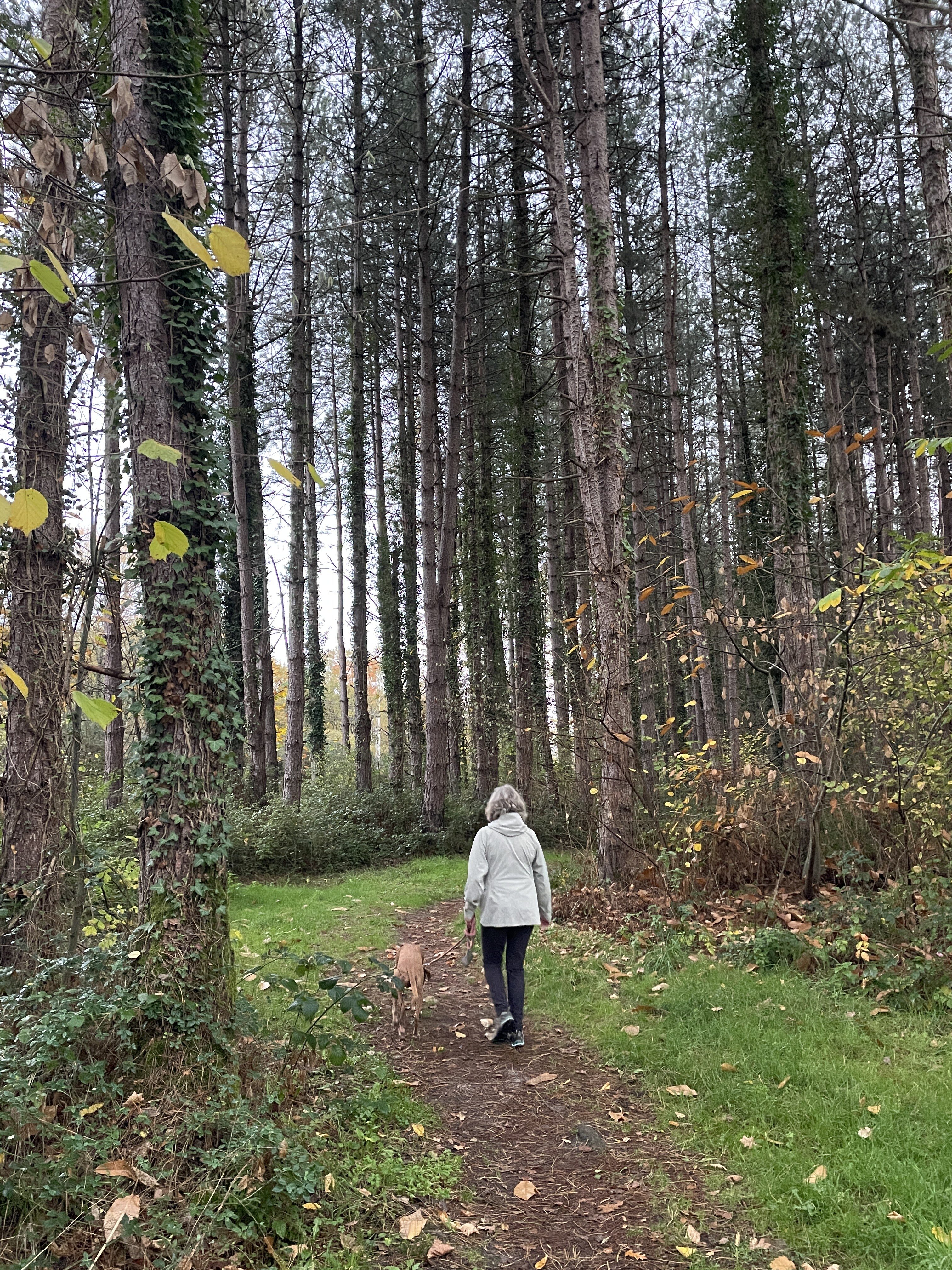 PHGM+HQ Luant, France / 14-11-2025 16:36 / 15.03 °C en lichte regen / 156 m