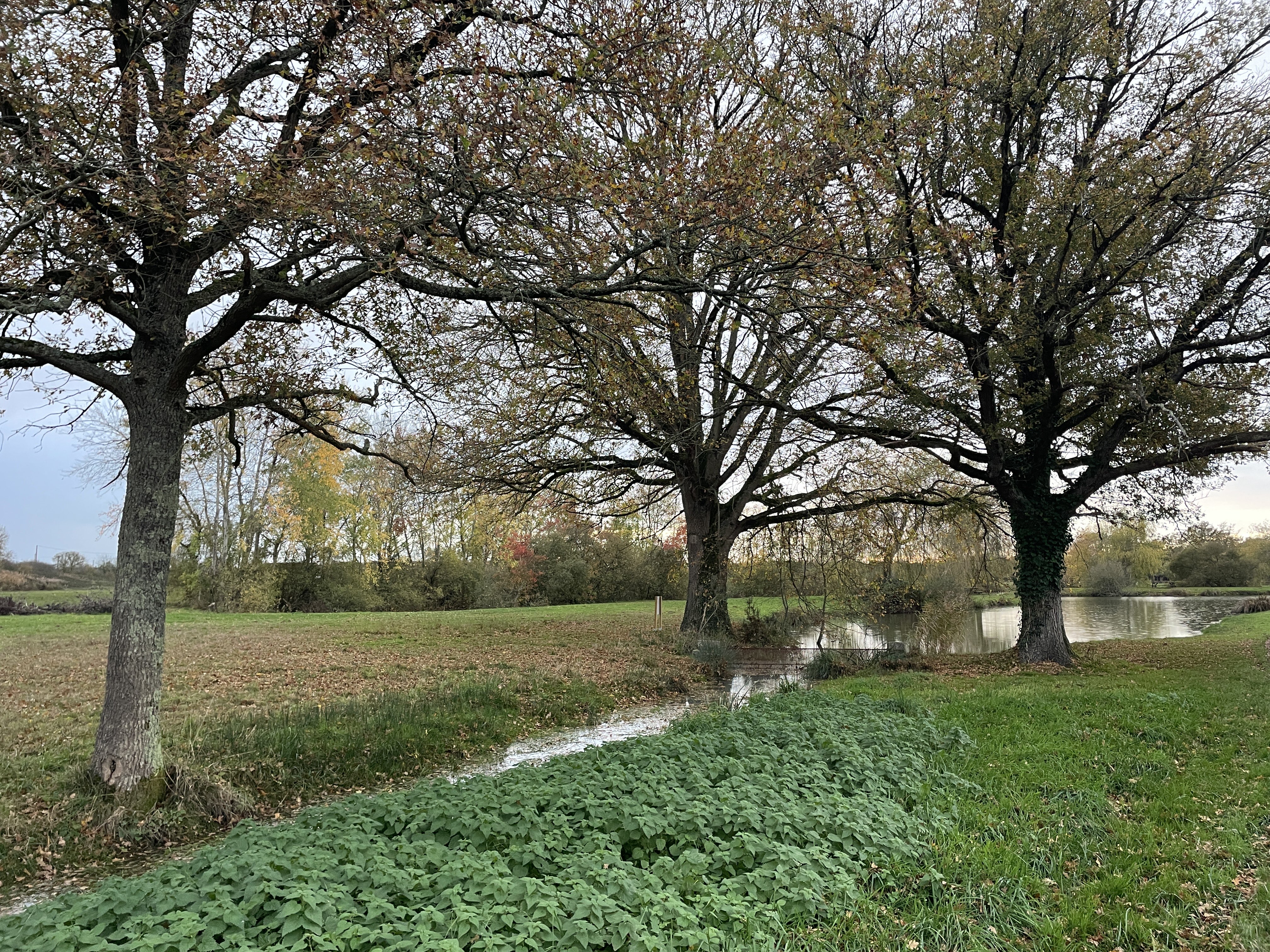 PHCJ+P5 Luant, France / 14-11-2025 16:48 / 15.06 °C en lichte regen / 153 m