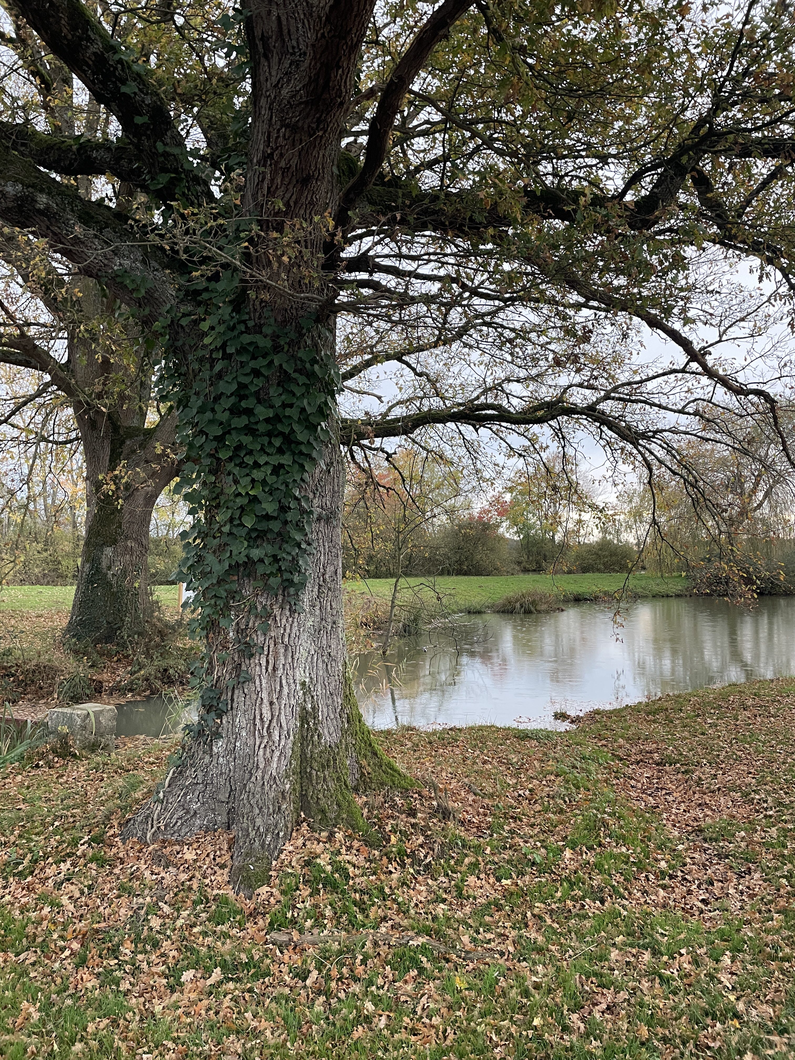 PHCJ+M3 Luant, France / 14-11-2025 16:48 / 15.06 °C en lichte regen / 152 m