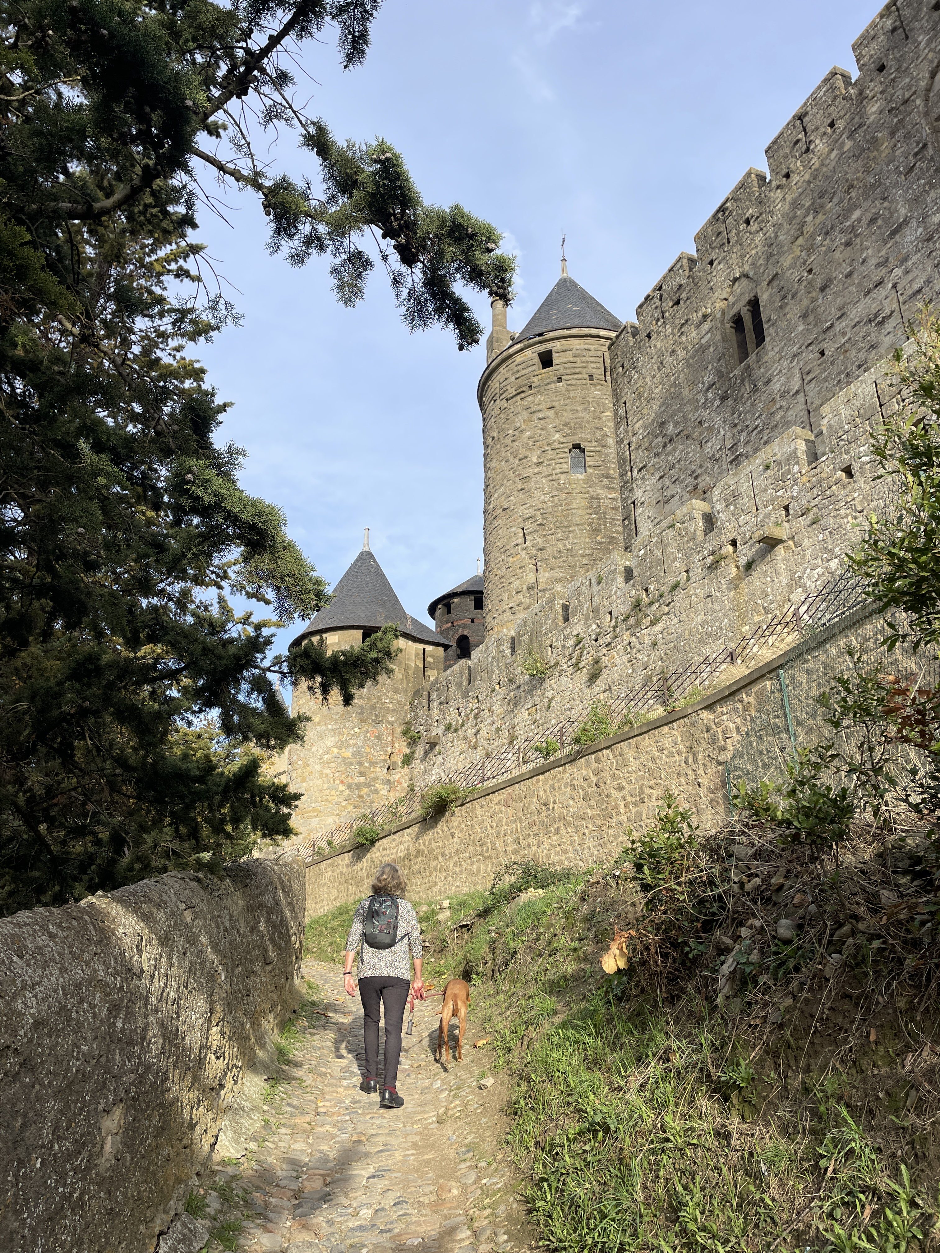 1 Rue du Four Saint-Nazaire, 11000 Carcassonne, France / 15-11-2025 15:34 / 19.96 °C en onbewolkt / 127 m
