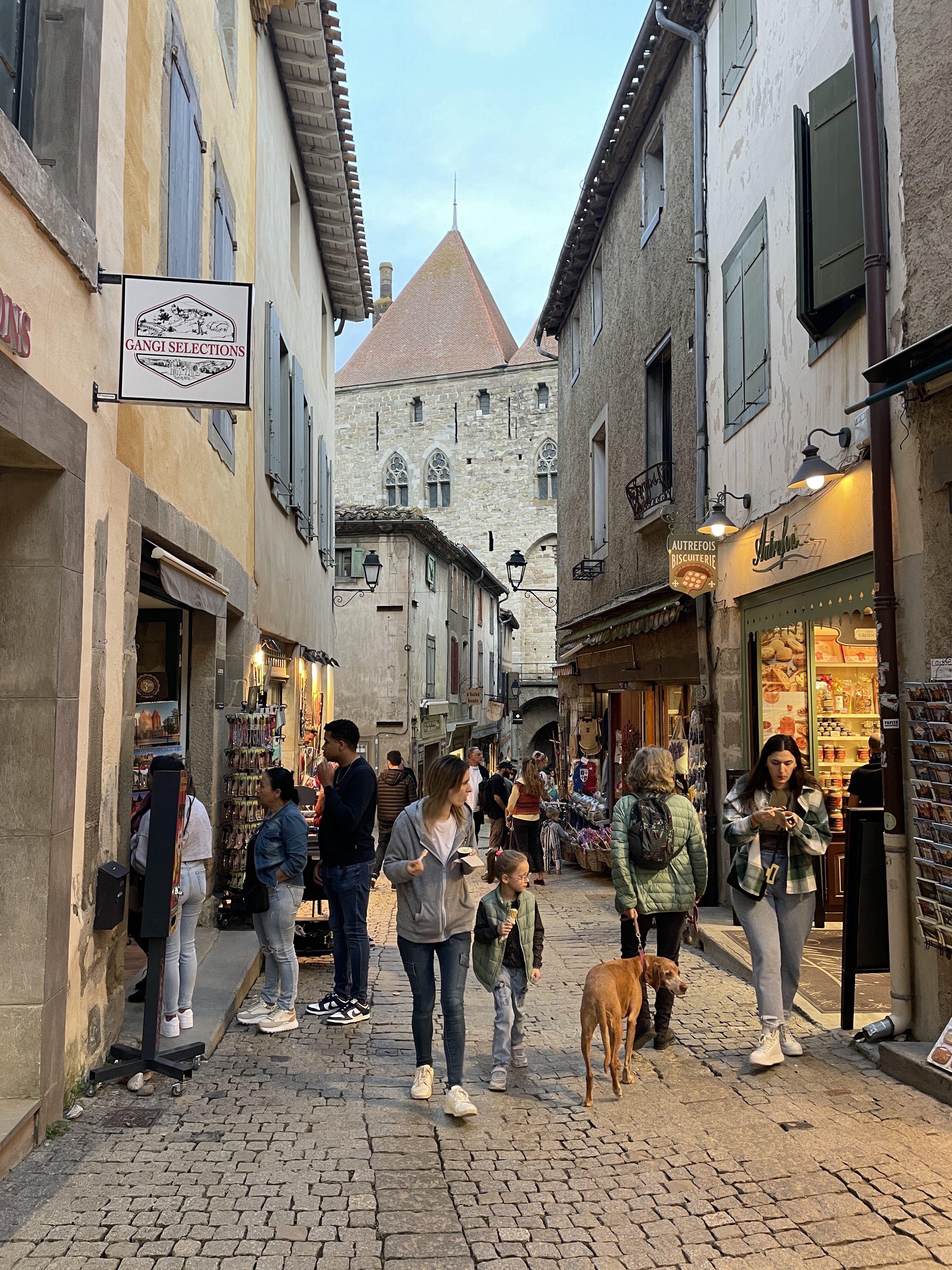 11 Rue Cros Mayrevieille, 11000 Carcassonne, France / 15-11-2025 17:17 / 17.06 °C en onbewolkt / 145 m