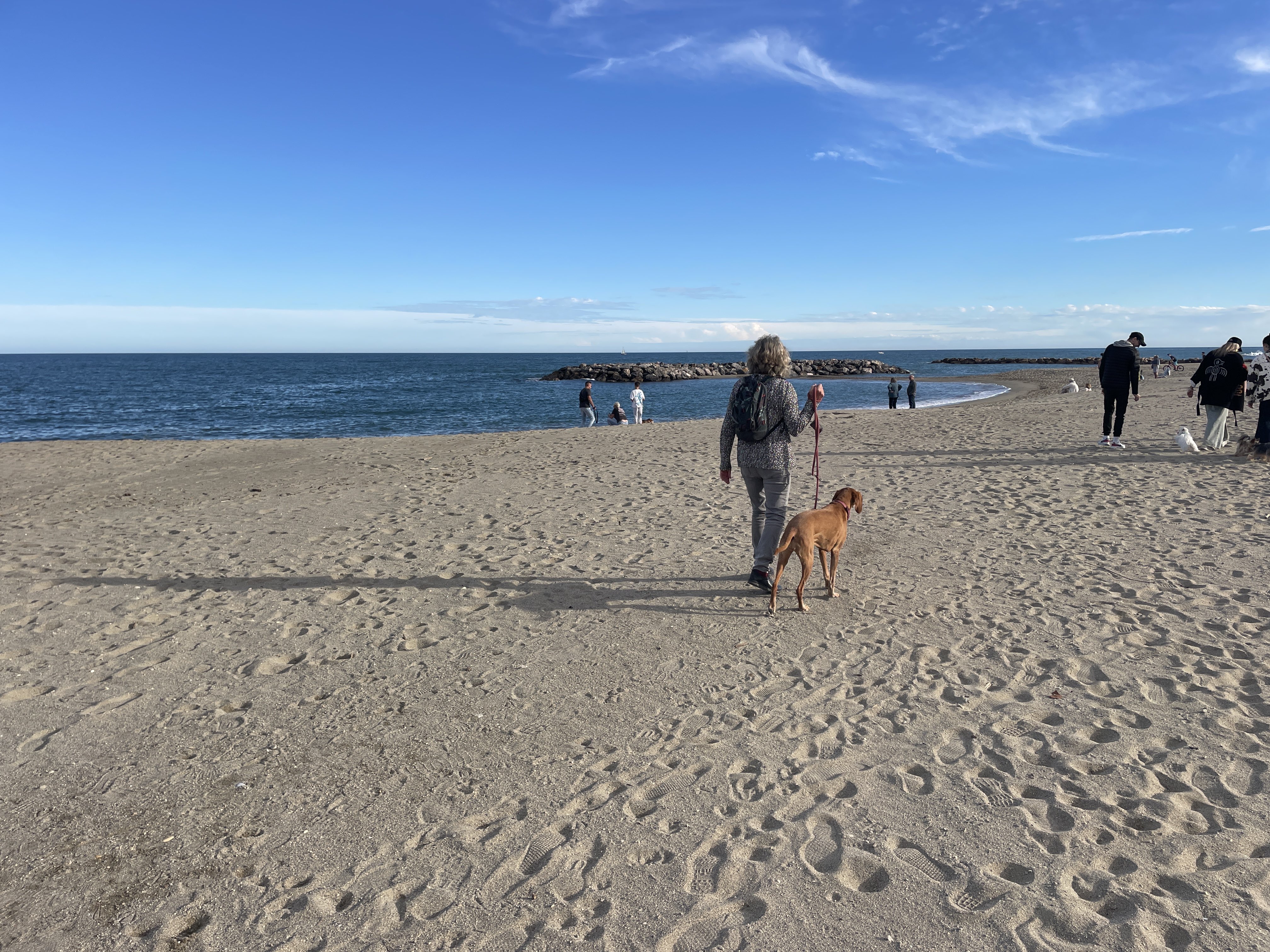 6 Rue des Sarcelles, 66470 Sainte-Marie-la-Mer, France / 16-11-2025 15:10 / 19.46 °C en half bewolkt / 5 m