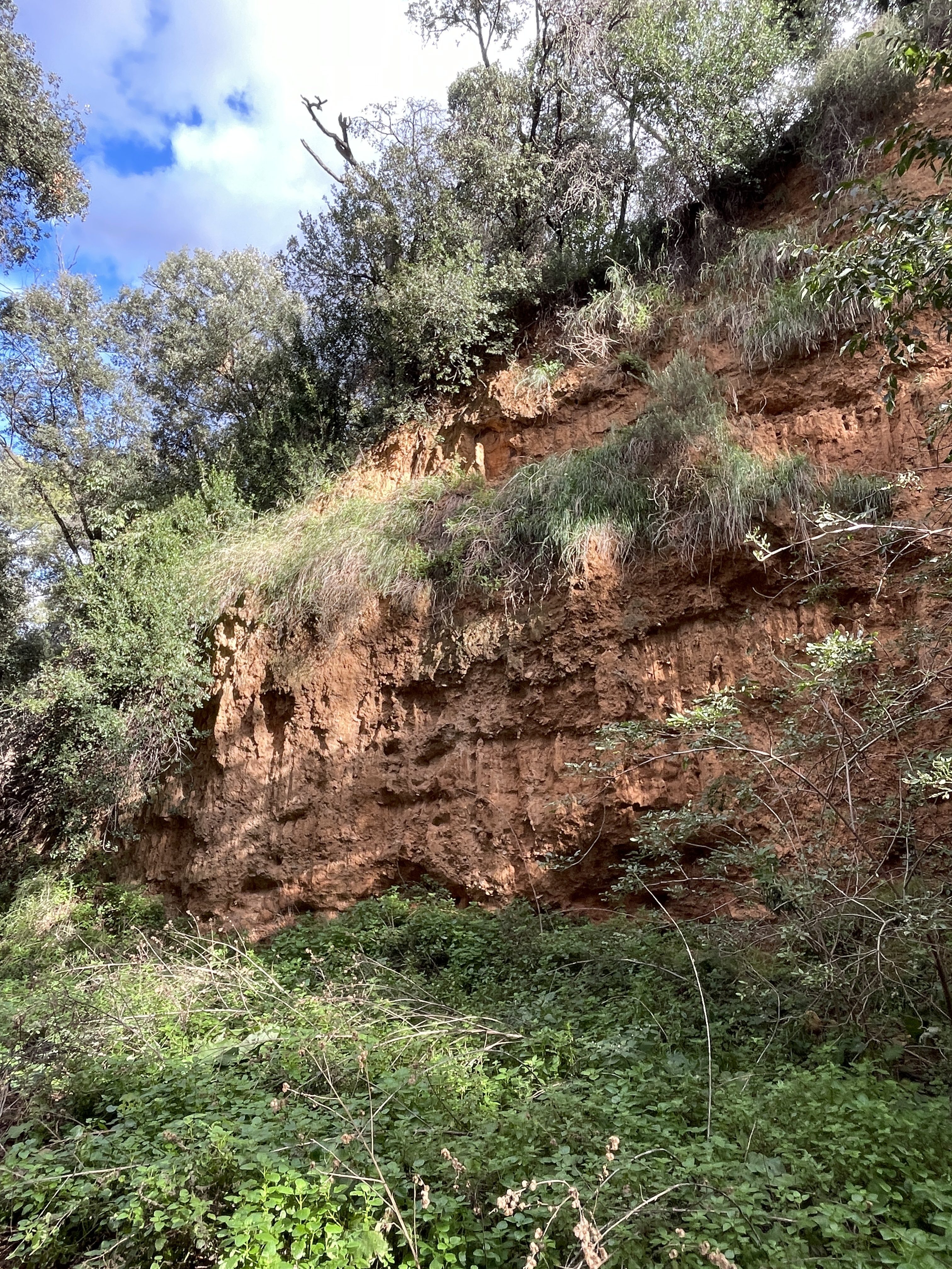 Carrer S.U.B-8, 20, 08530 La Garriga, Barcelona, Spain / 17-11-2025 14:15 / 16.92 °C en half bewolkt / 238 m