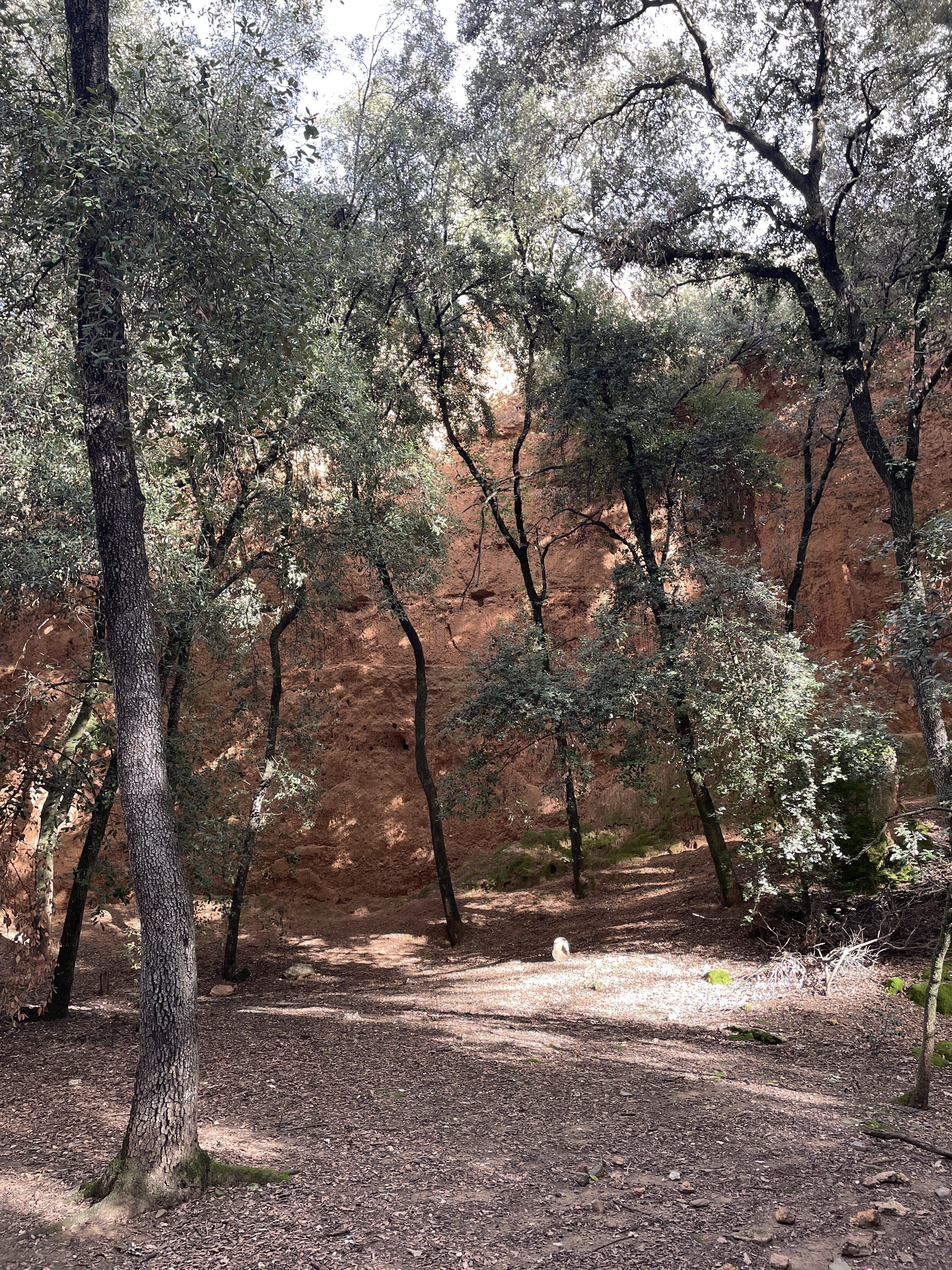 M7FV+97 La Garriga, Spain / 17-11-2025 14:18 / 16.87 °C en half bewolkt / 244 m