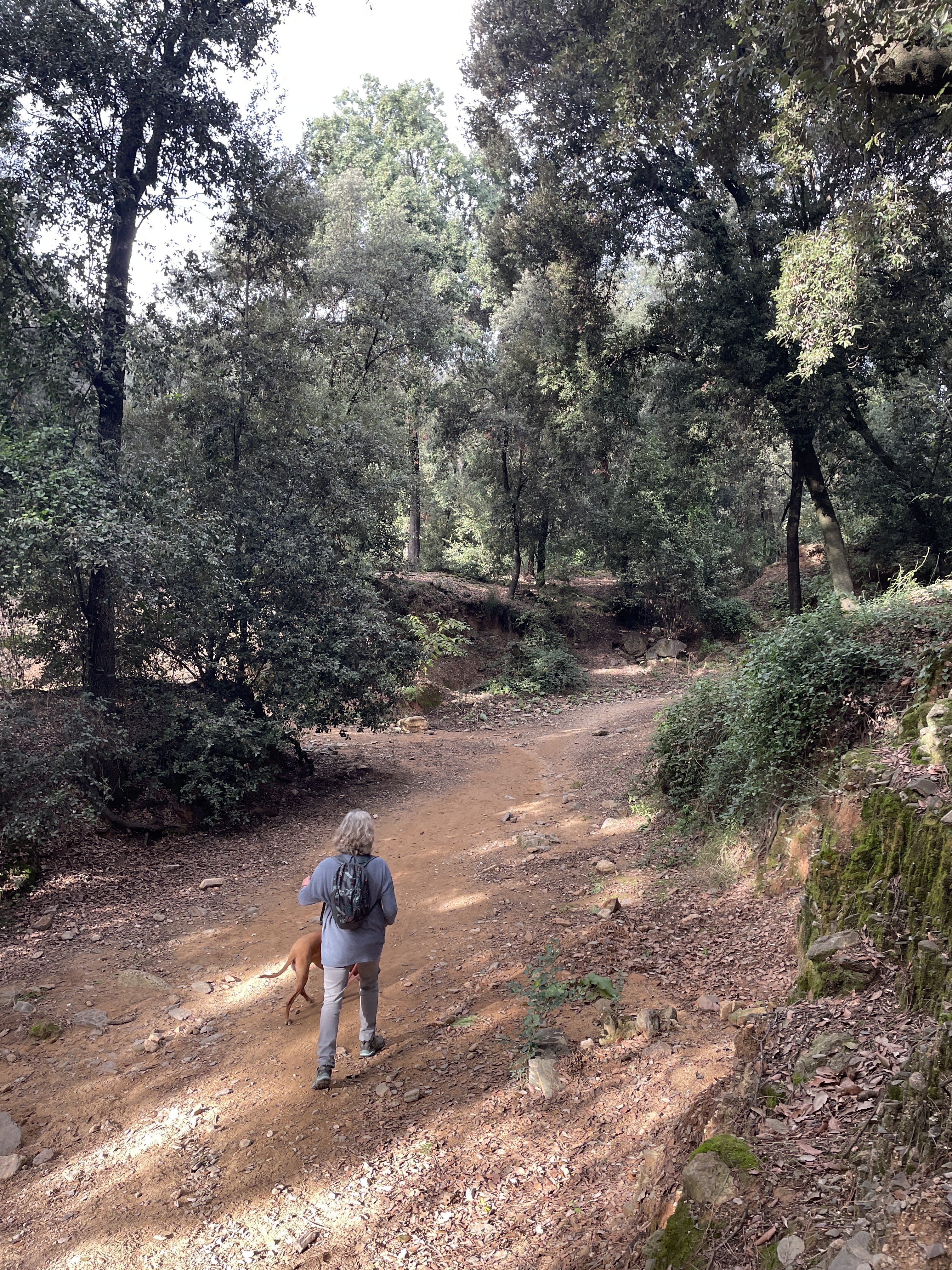 Carrer S.U.B-8, 21, 08530 La Garriga, Barcelona, Spain / 17-11-2025 14:20 / 16.85 °C en half bewolkt / 241 m