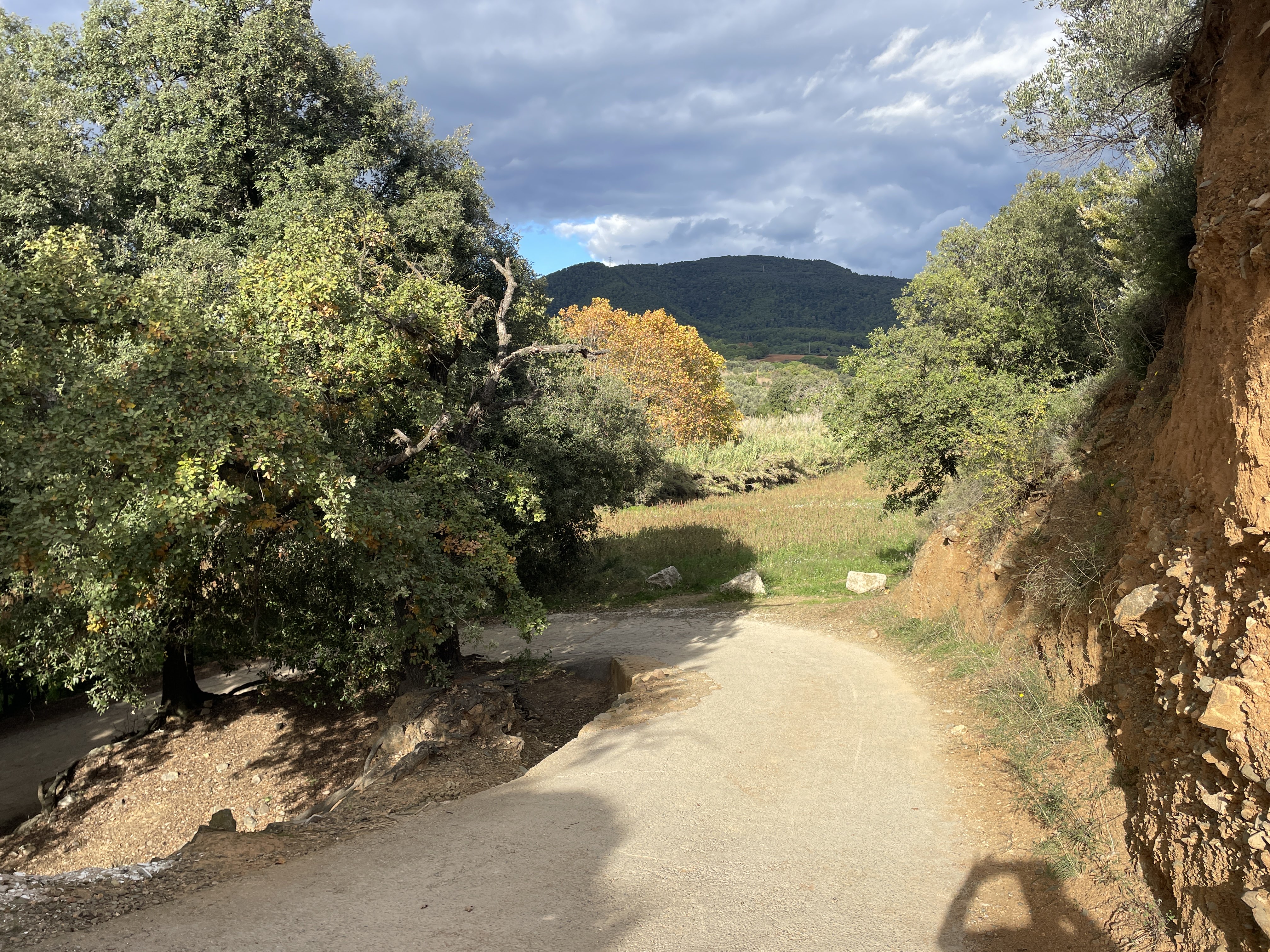 Carrer S.U.B-8, 71, 08530 La Garriga, Barcelona, Spain / 17-11-2025 14:33 / 16.89 °C en half bewolkt / 261 m