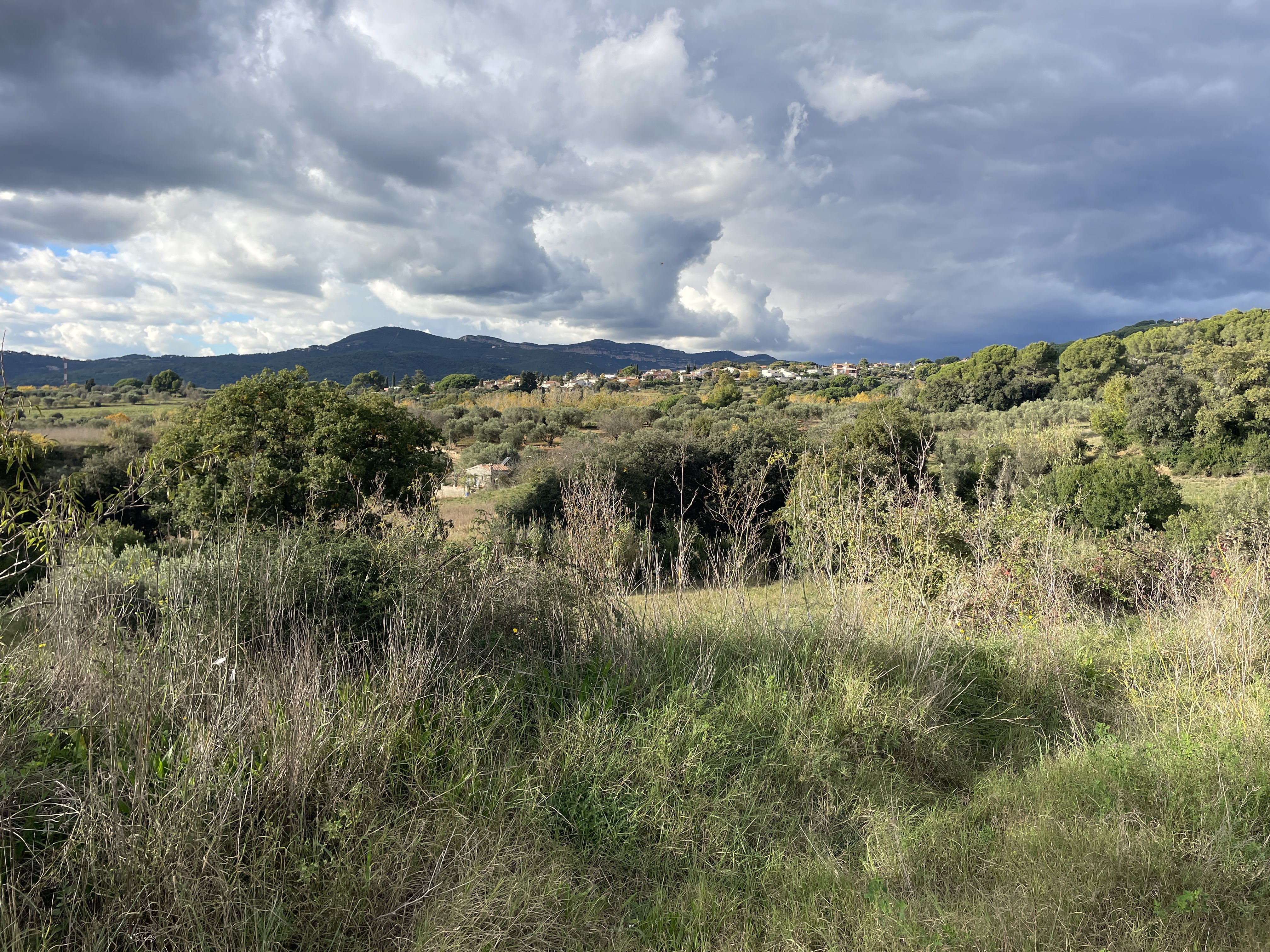 M8H3+8R La Garriga, Spain / 17-11-2025 14:45 / 16.64 °C en half bewolkt / 284 m