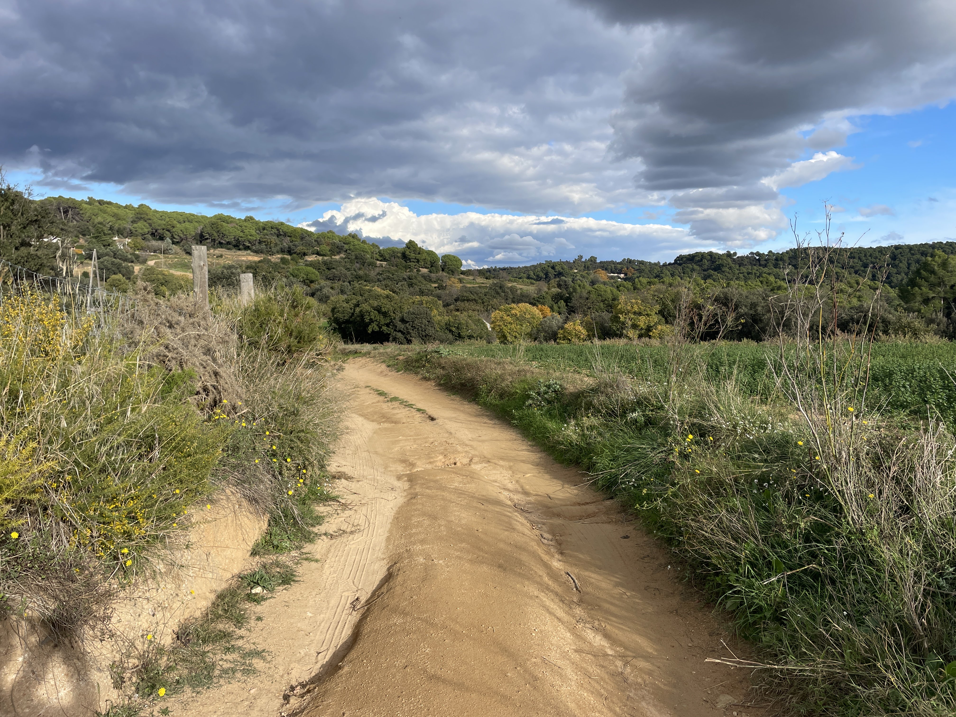 M8H6+22 La Garriga, Spain / 17-11-2025 14:55 / 16.6 °C en half bewolkt / 308 m