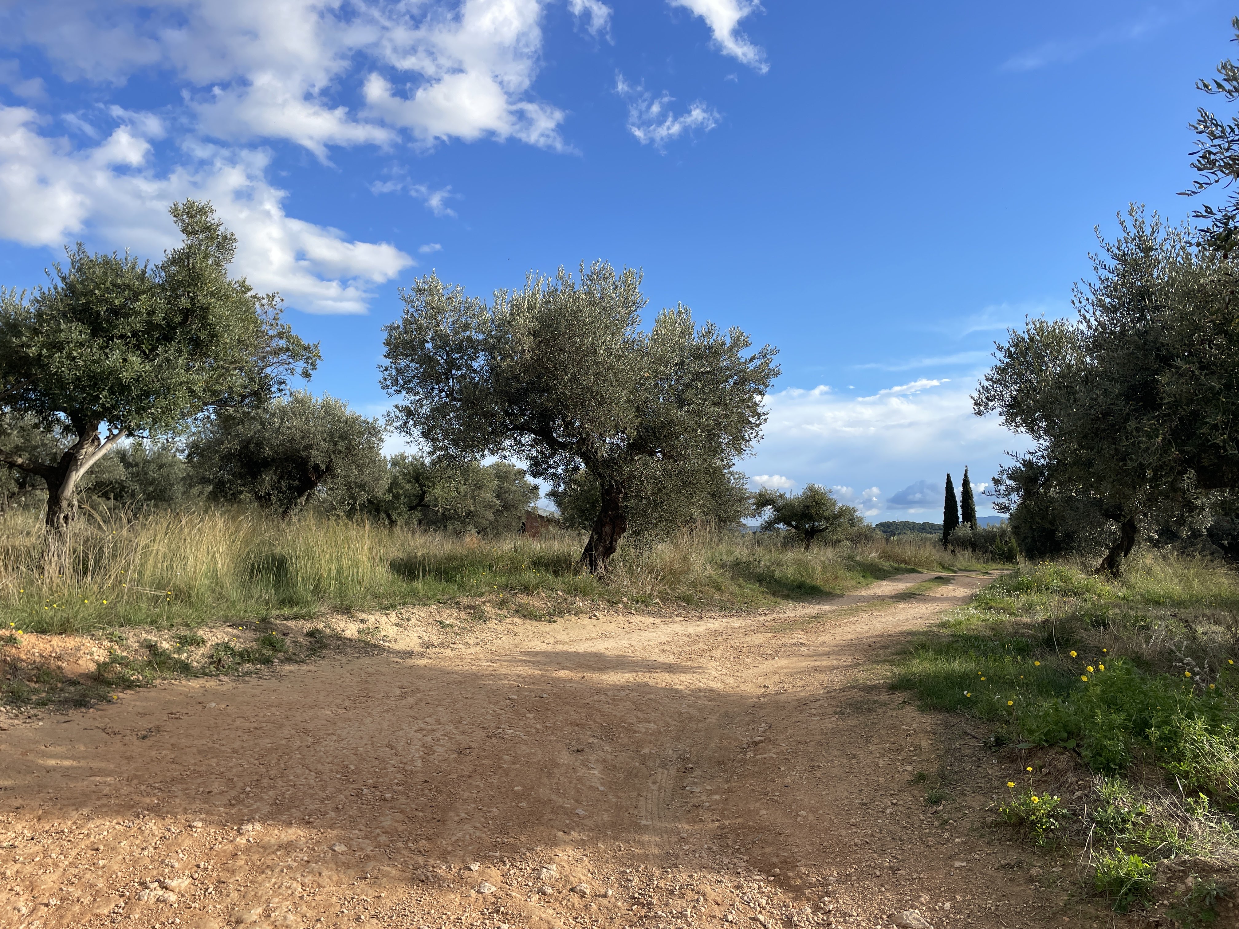 M7CX+2Q Els Gorgs, Spain / 17-11-2025 15:20 / 16.41 °C en half bewolkt / 273 m