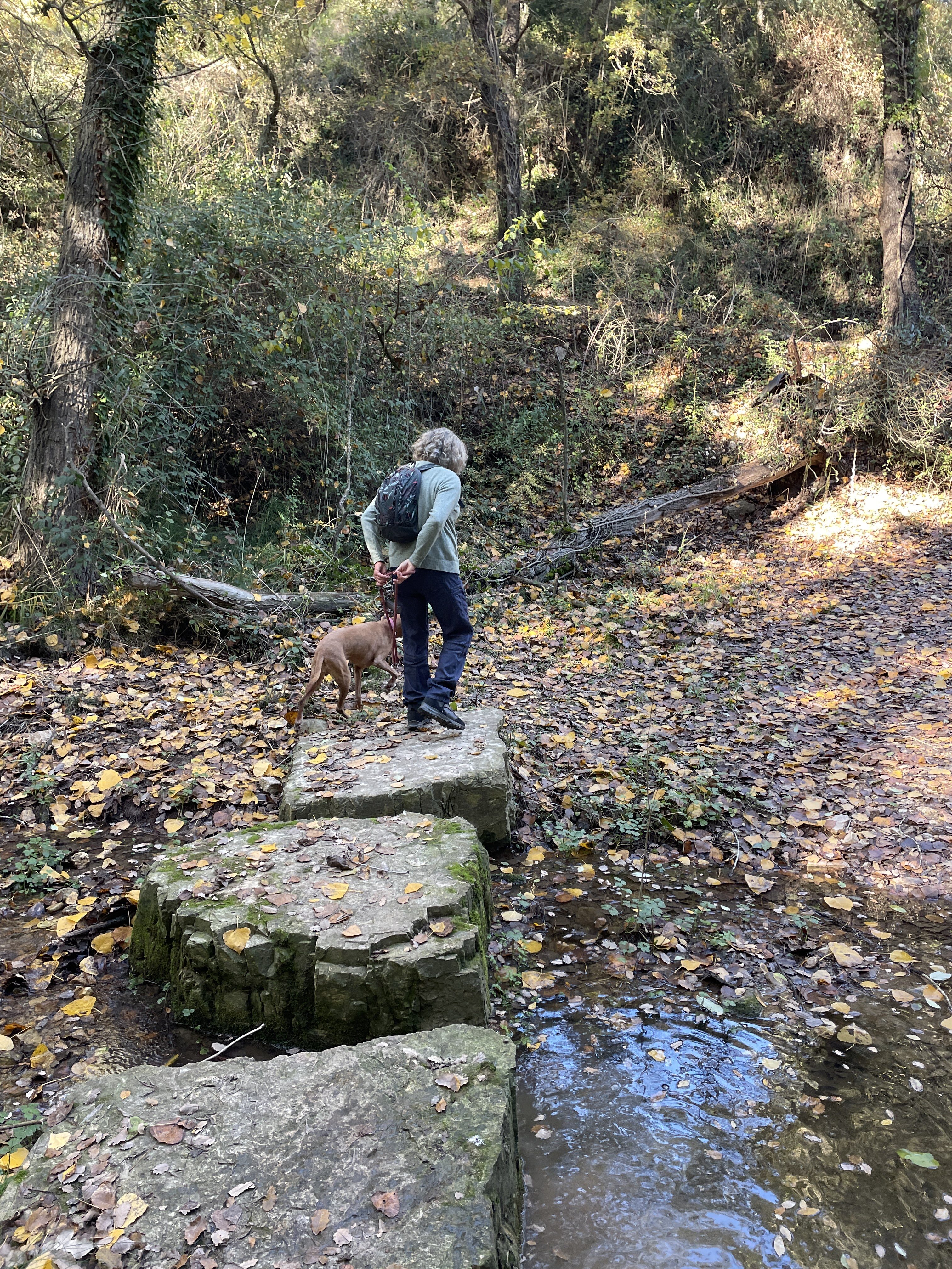 Masia la Rovira, 85B, 08738 Barcelona, Spain / 18-11-2025 14:20 / 12.24 °C en onbewolkt / 617 m