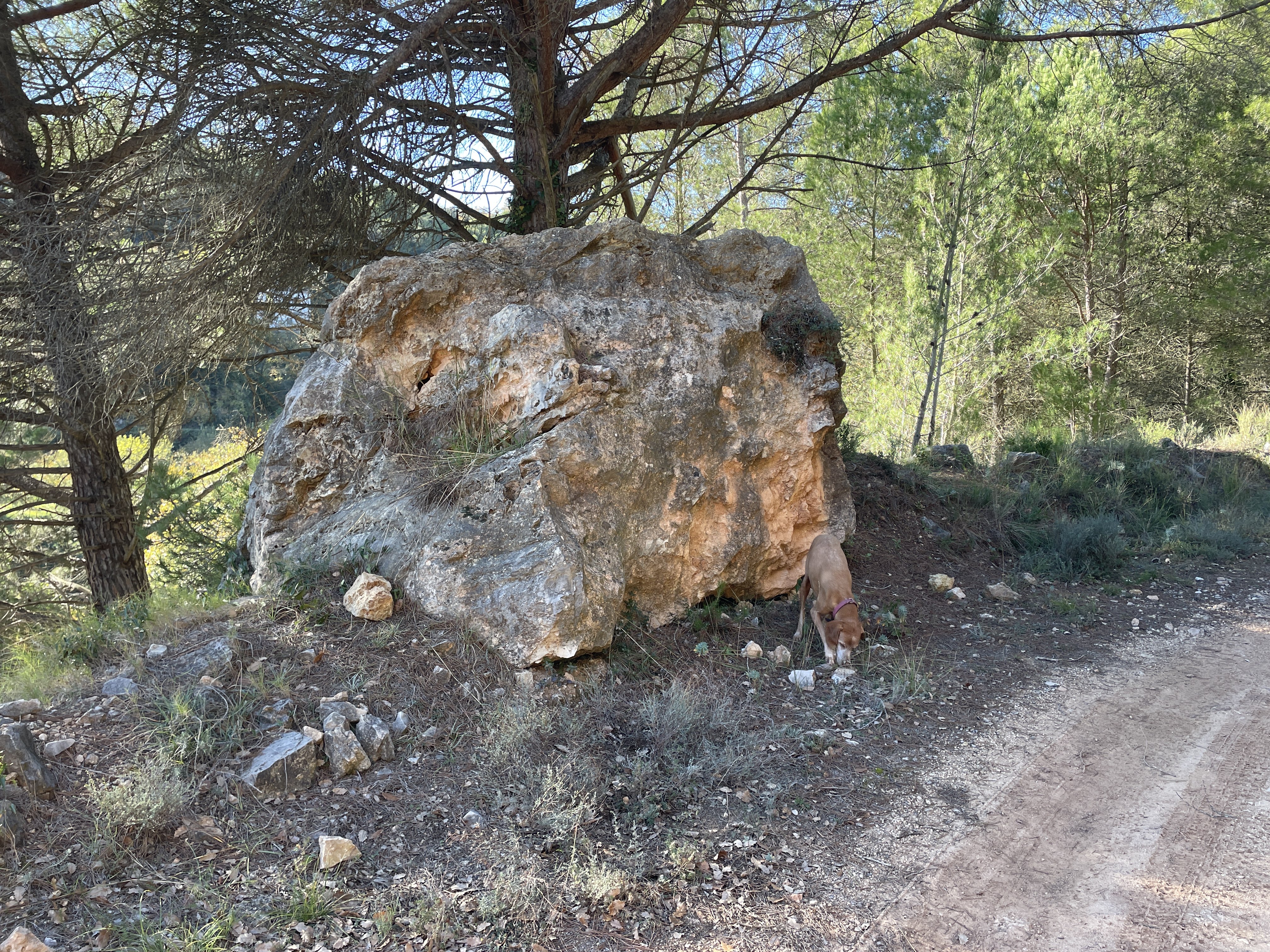 Urbanitzacio Cal Pontonet, 23, 08738 Pontons, Barcelona, Spain / 18-11-2025 14:32 / 12.24 °C en onbewolkt / 624 m