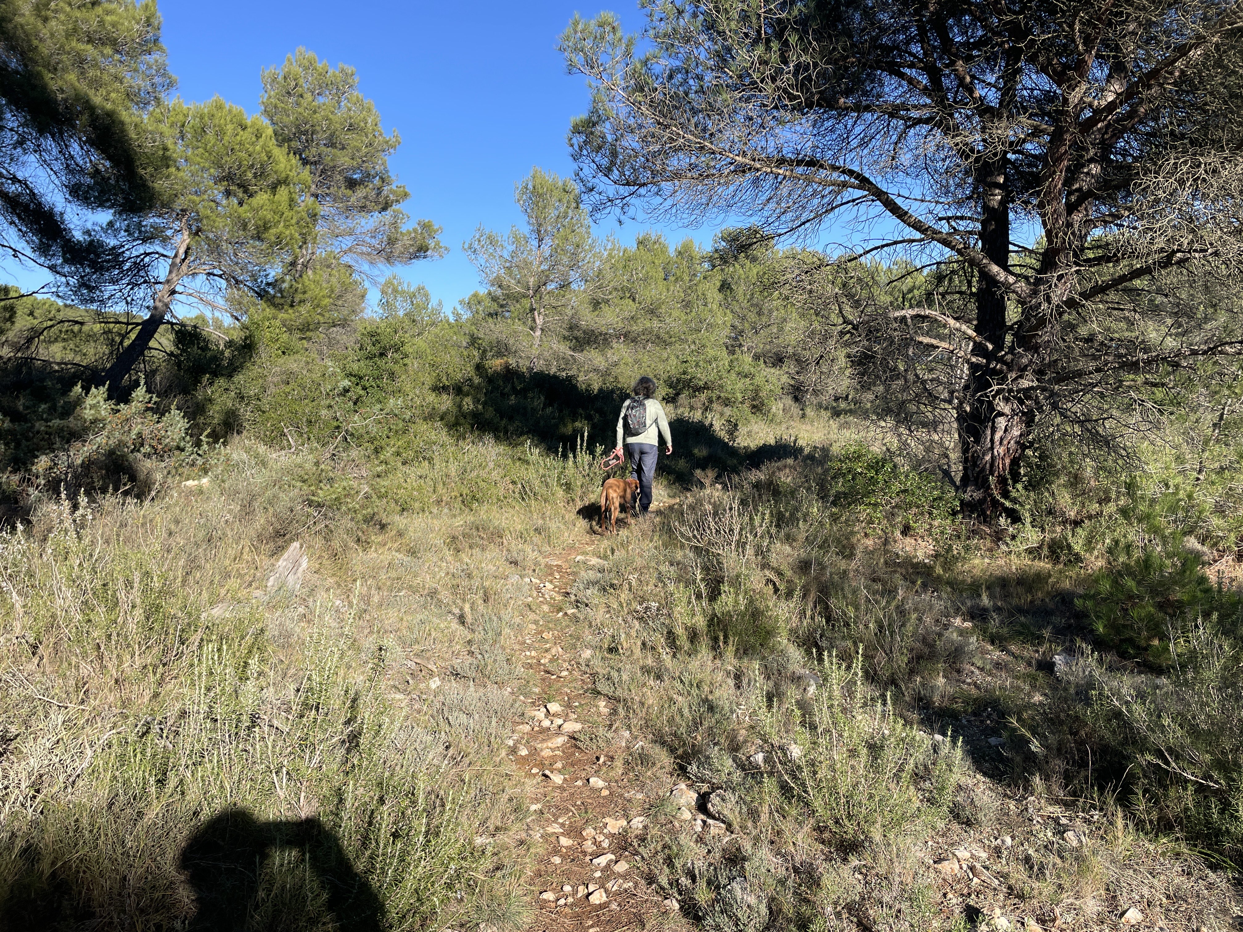 CGF5+98 Pontons, Spain / 18-11-2025 14:48 / 11.42 °C en onbewolkt / 678 m