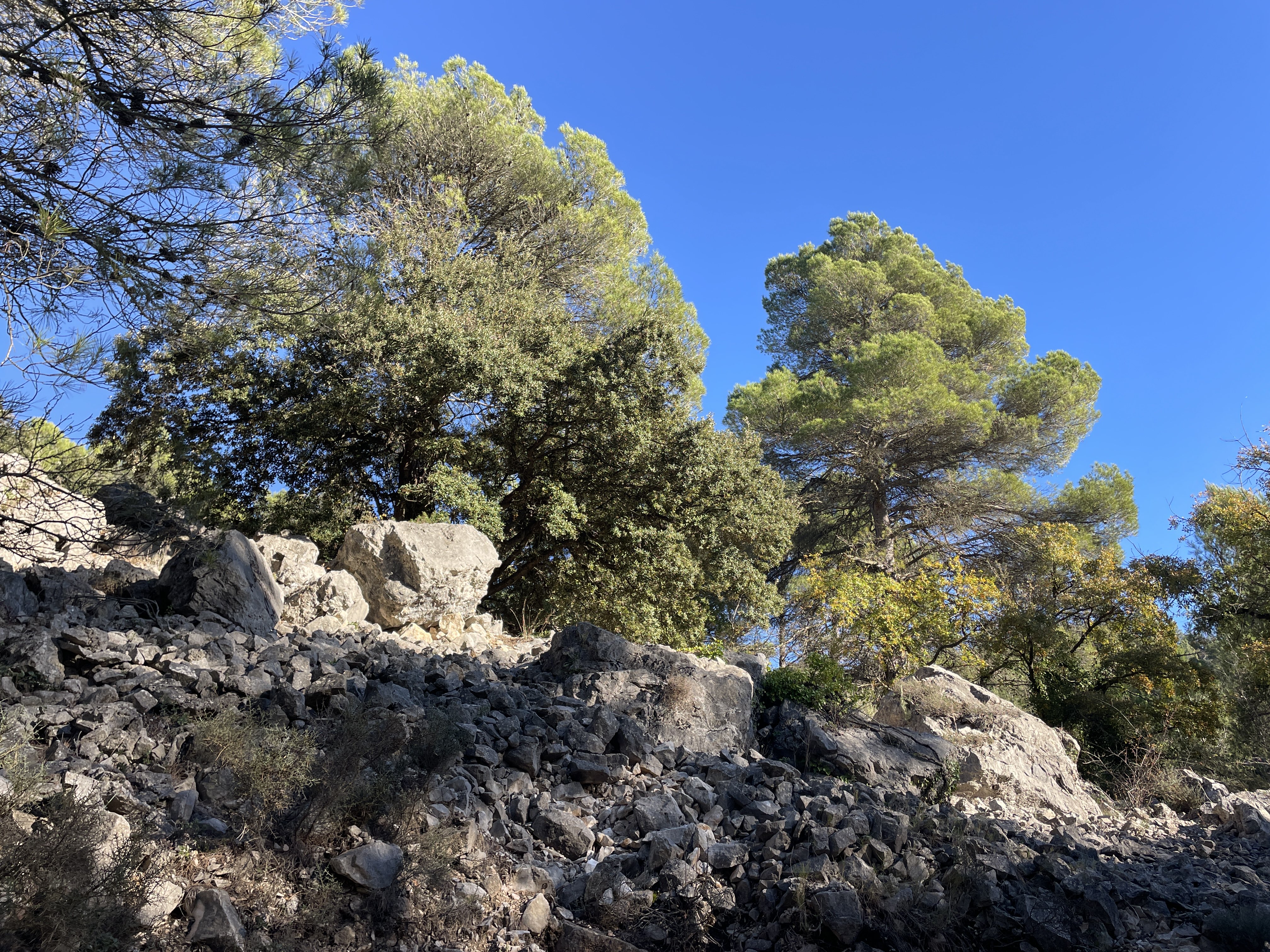 CGC8+RQ, 08738, Barcelona, Spain / 18-11-2025 15:27 / 11.47 °C en onbewolkt / 626 m