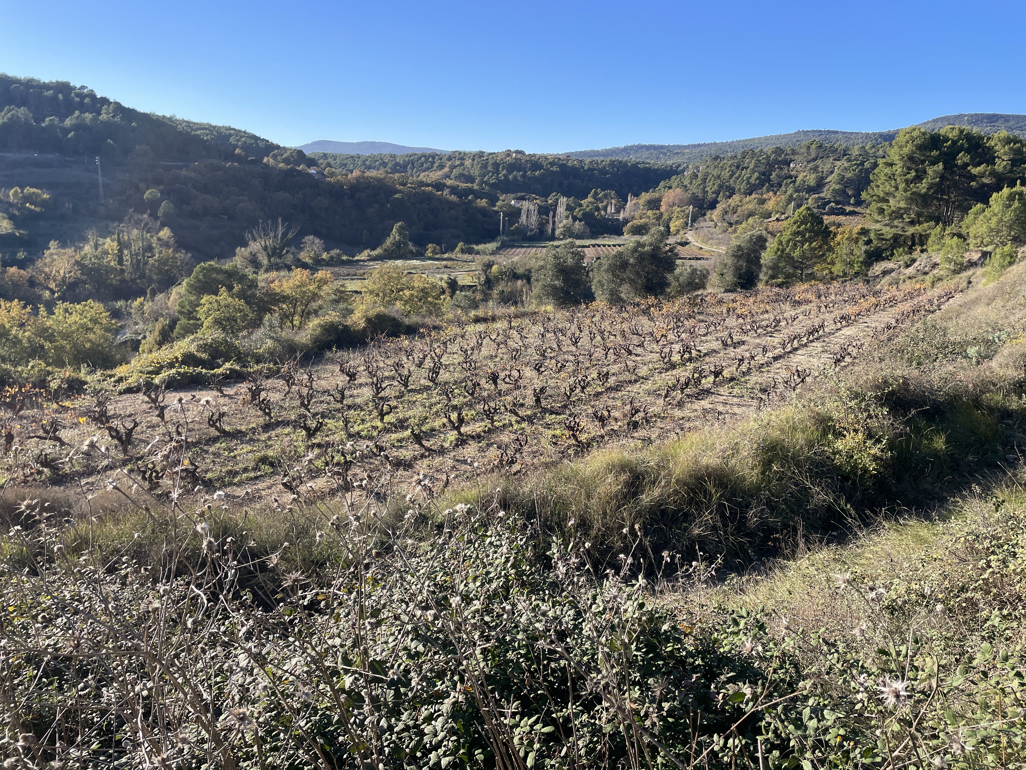 Caracter Mas de Pontons, 57, 08738 Pontons, Barcelona, Spain / 18-11-2025 15:45 / 11.42 °C en onbewolkt / 621 m