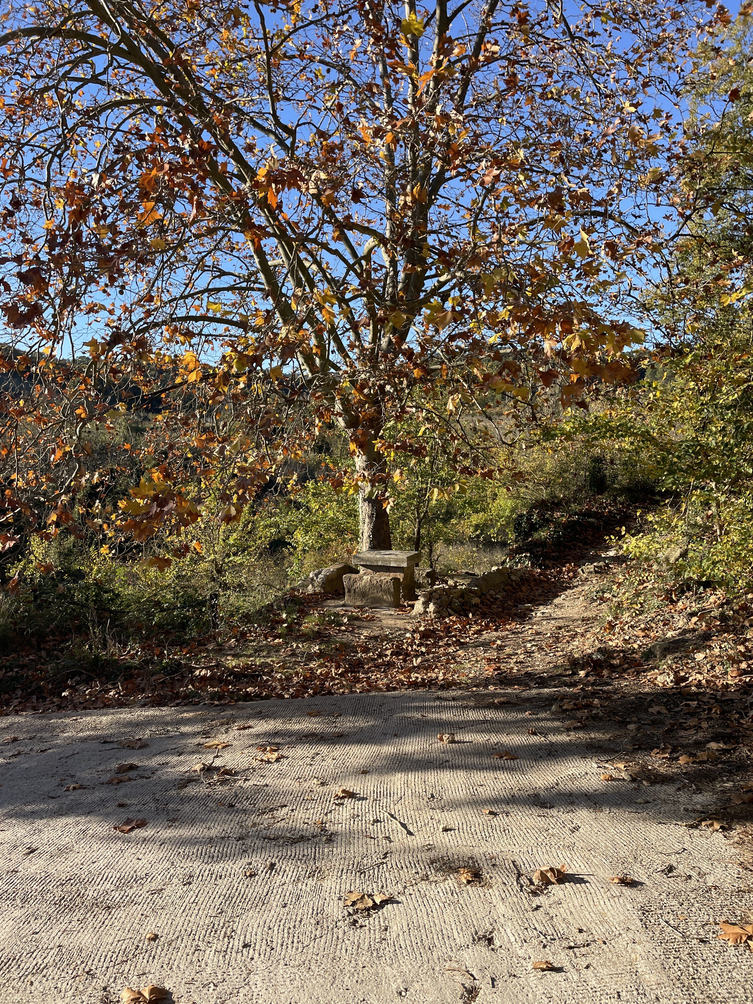Carrer de l'Església, 13, 08738 Pontons, Barcelona, Spain / 18-11-2025 15:49 / 11.42 °C en onbewolkt / 595 m
