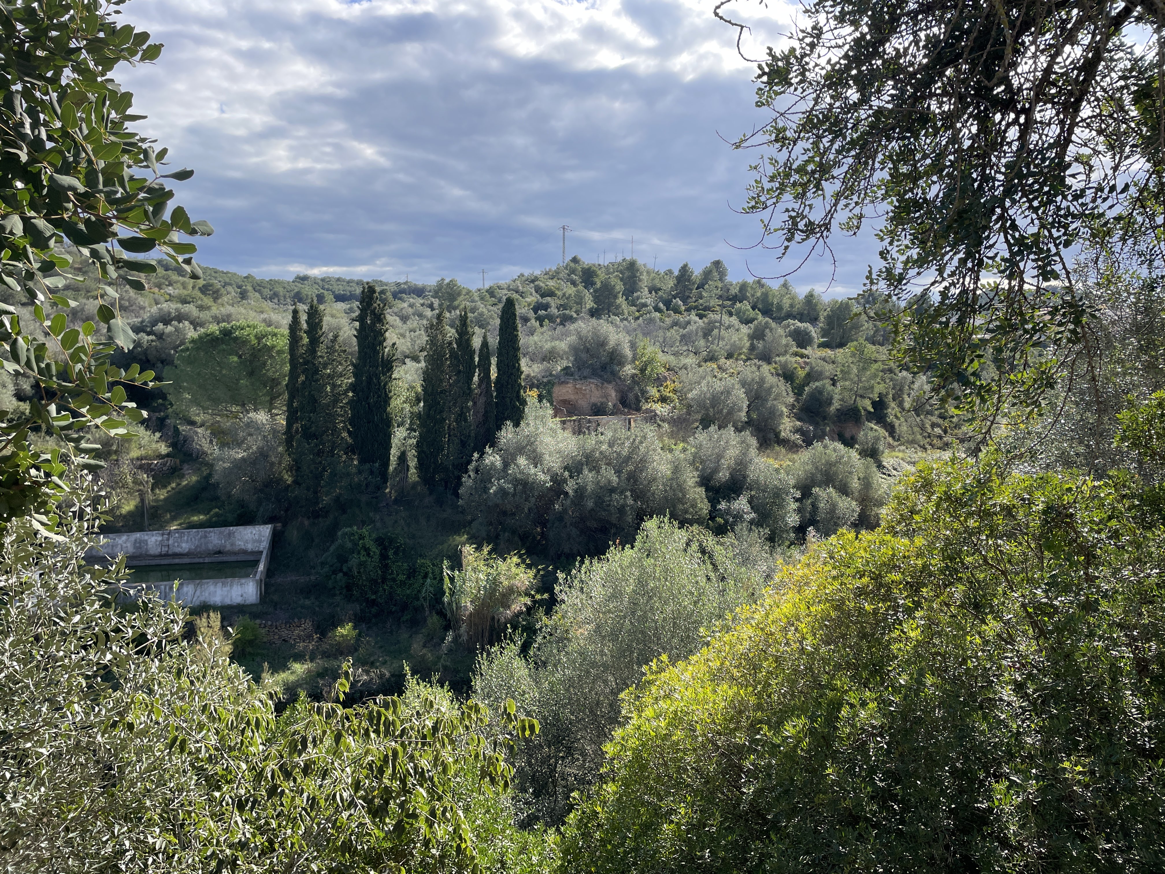 Carrer Barranc Oliveres, 34, 43519 El Perelló, Tarragona, Spain / 19-11-2025 12:37 / 12.82 °C en half bewolkt / 140 m