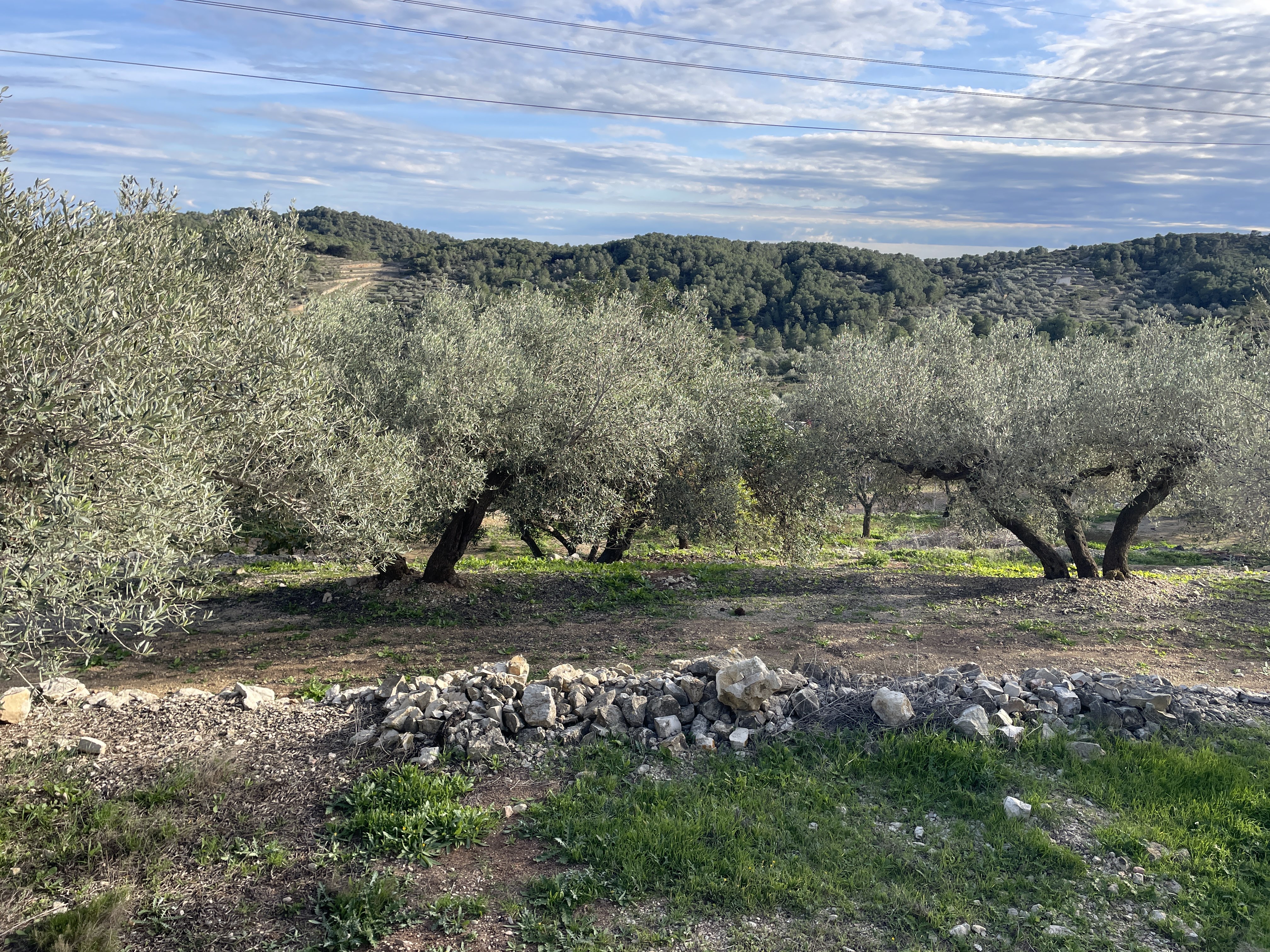 VPC3+53 El Perelló, Spain / 19-11-2025 15:11 / 13.73 °C en bewolkt / 208 m