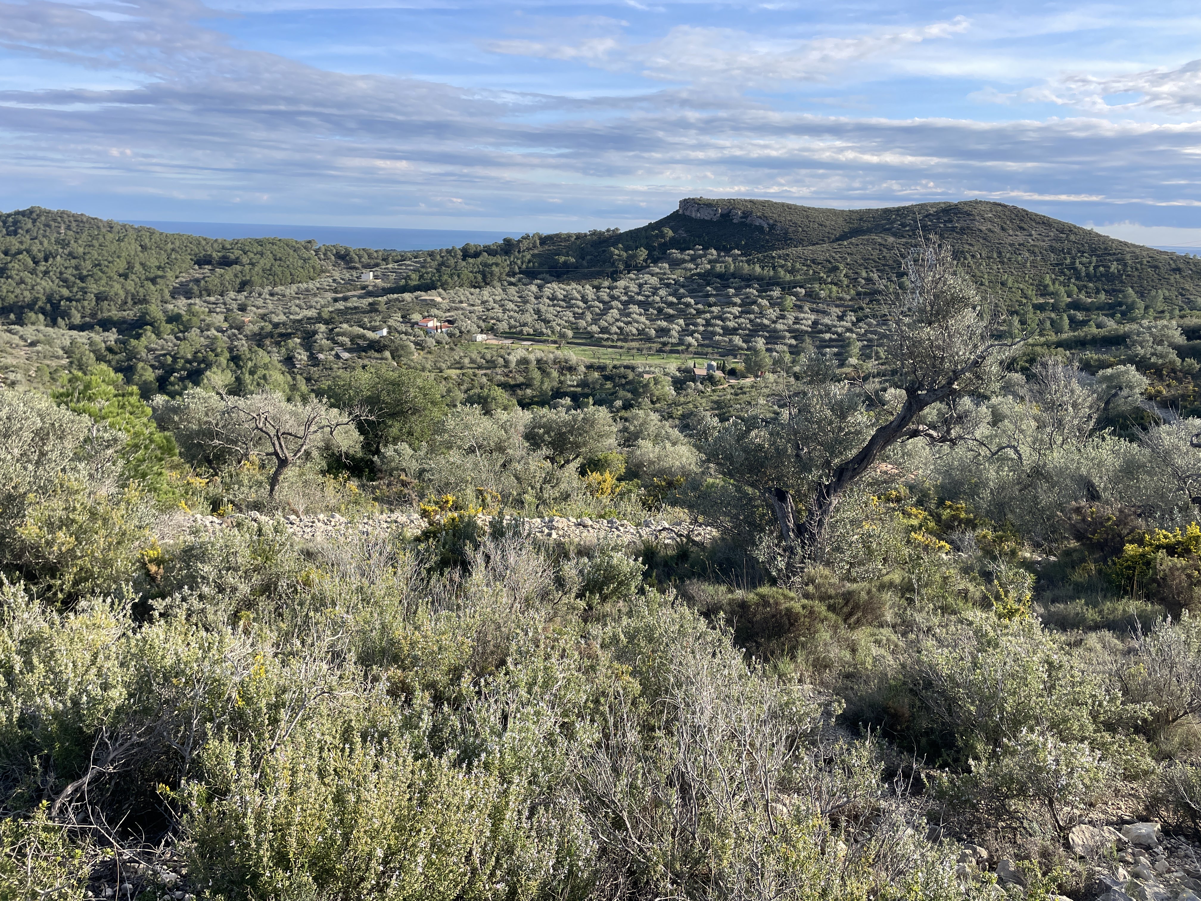 VM9X+86 El Perelló, Spain / 19-11-2025 15:23 / 13.09 °C en bewolkt / 229 m