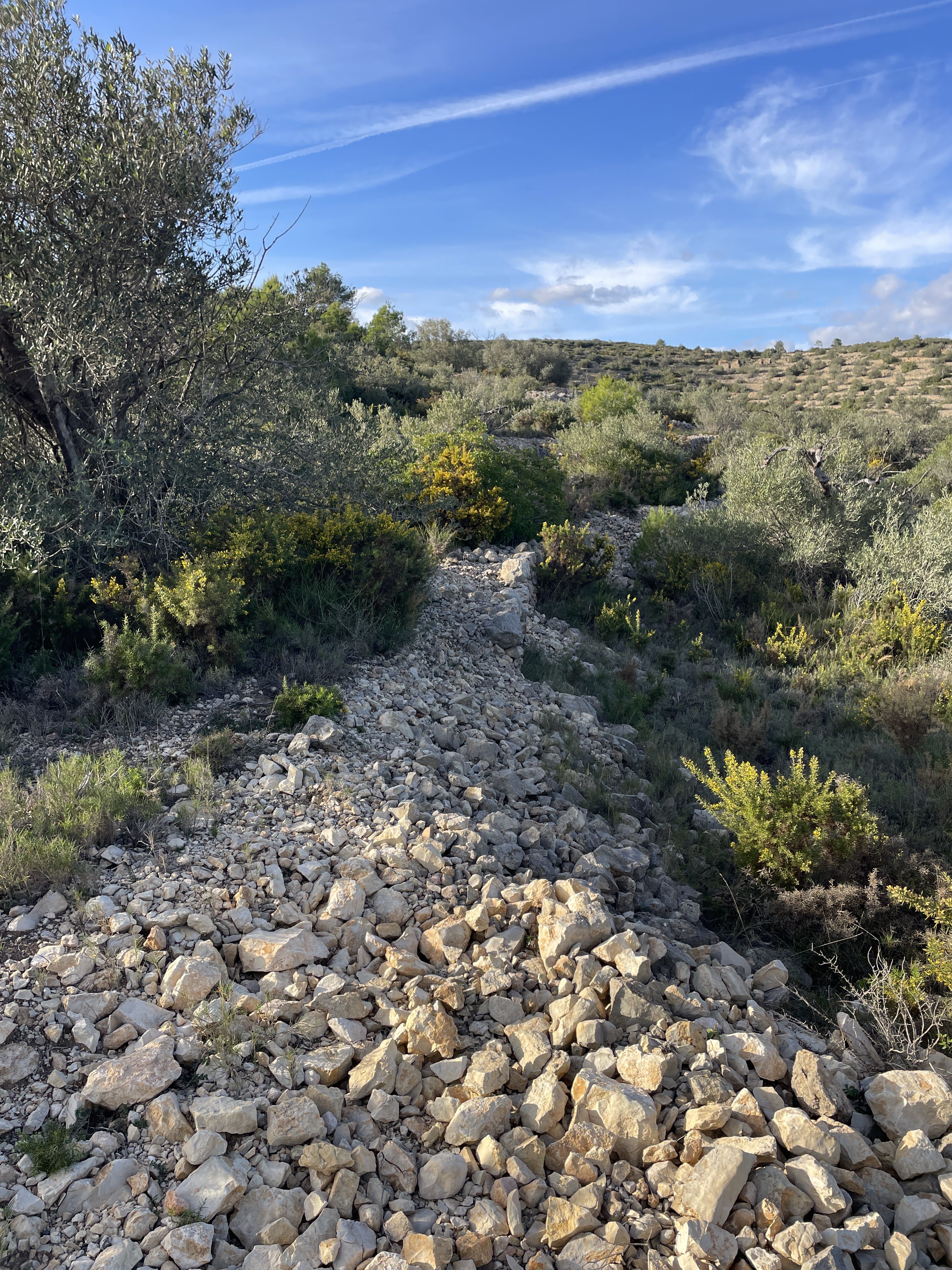 VM9W+8P El Perelló, Spain / 19-11-2025 15:26 / 13.09 °C en bewolkt / 238 m