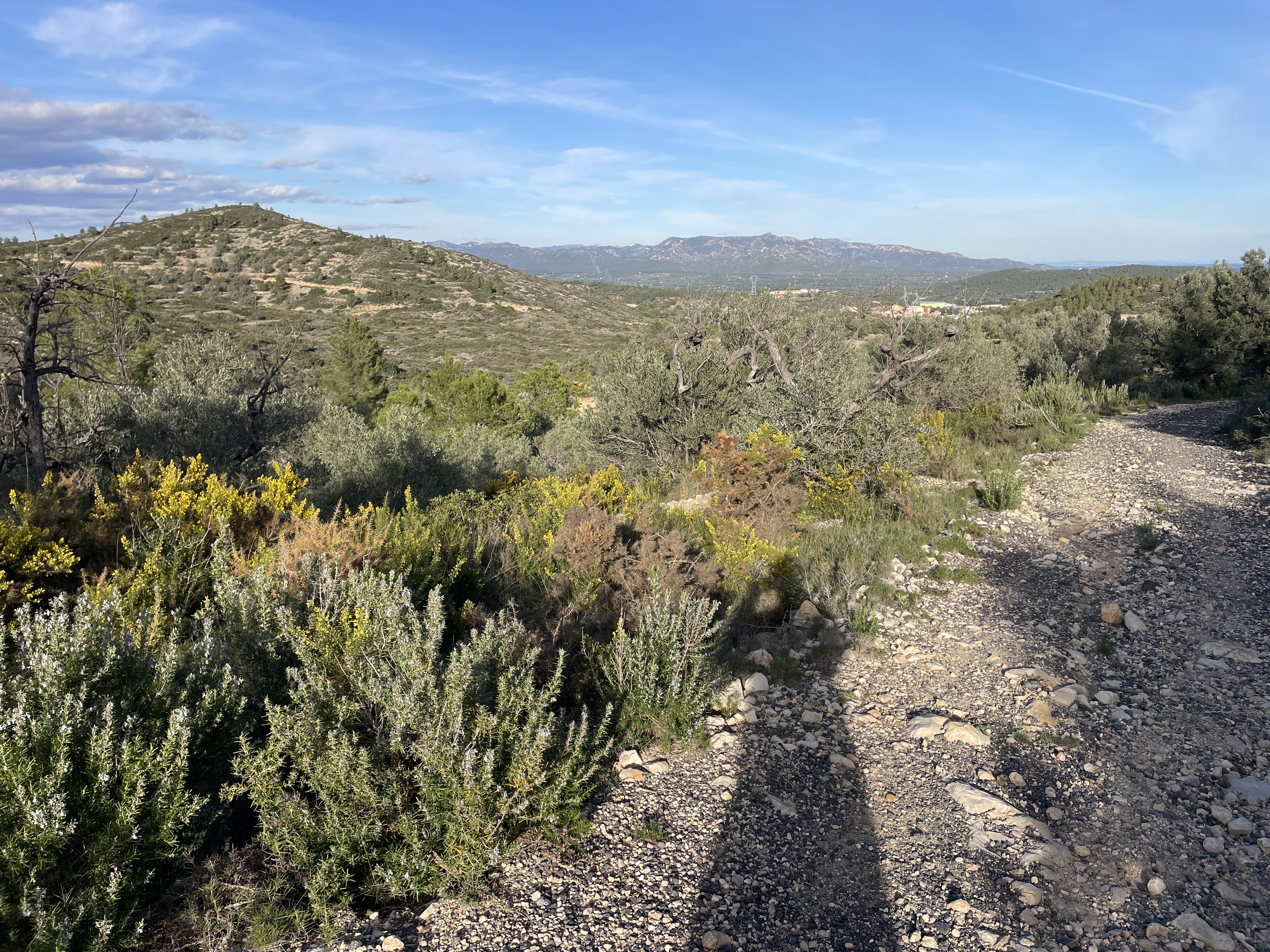 VM9W+8Q El Perelló, Spain / 19-11-2025 15:26 / 12.92 °C en bewolkt / 238 m