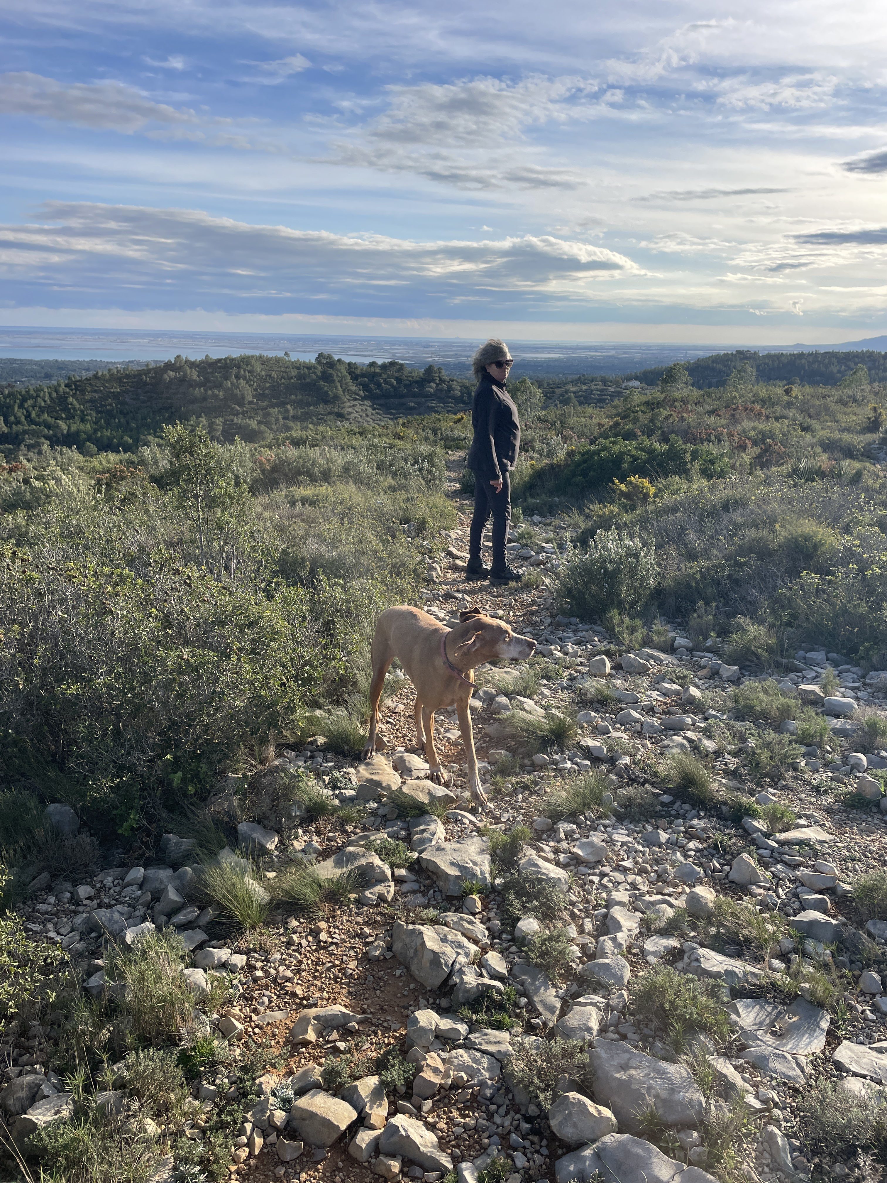 VM8W+F2, 43519, Tarragona, Spain / 19-11-2025 15:39 / 12.92 °C en bewolkt / 259 m