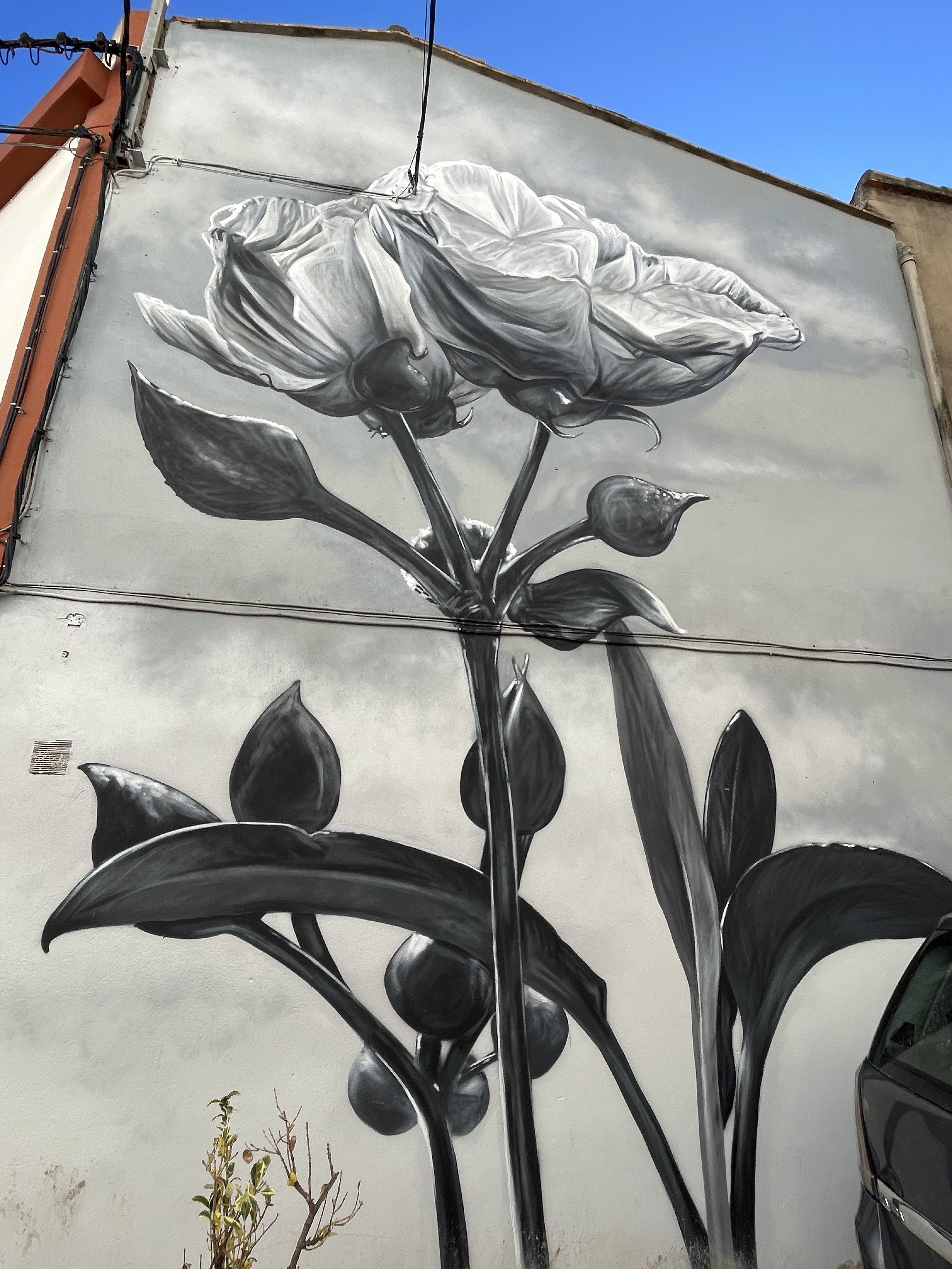 C. San José, 6, 12412 Geldo, Castellón, Spain / 20-11-2025 14:59 / 14.81 °C en zeer lichte bewolking / 301 m