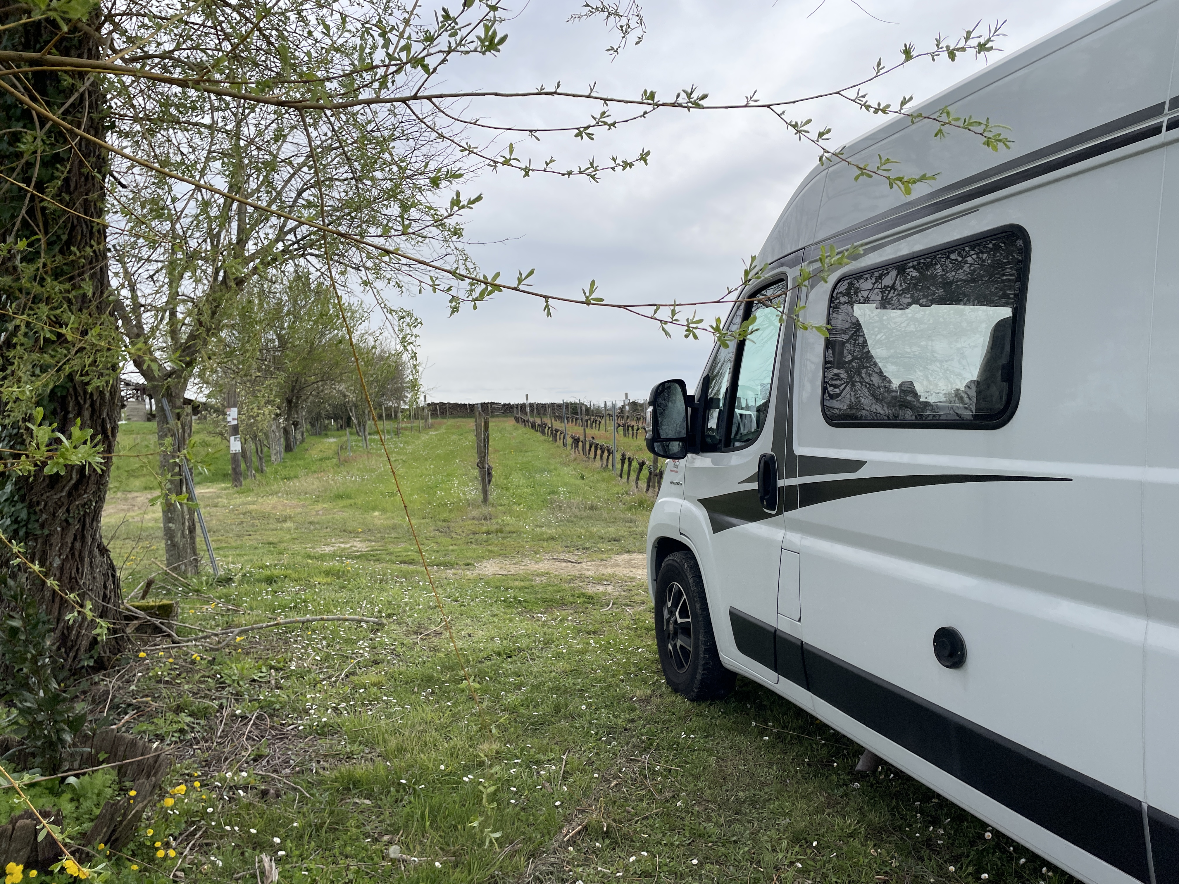 1650 Rte de Donnezac, 33860 Val-de-Livenne, France / 28-03-2024 15:20 / 14.66 °C en half bewolkt